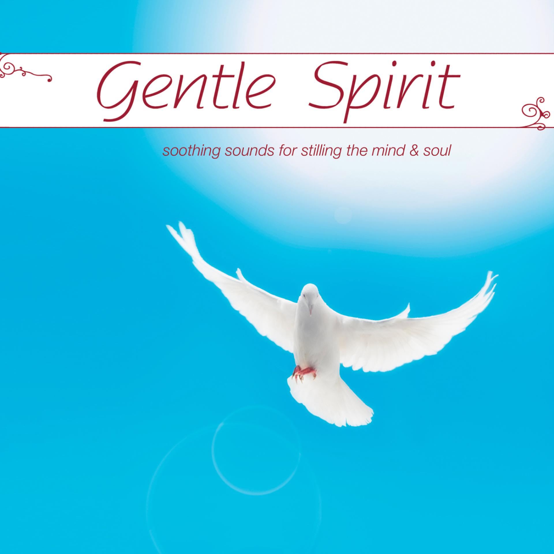 Постер альбома Gentle Spirit