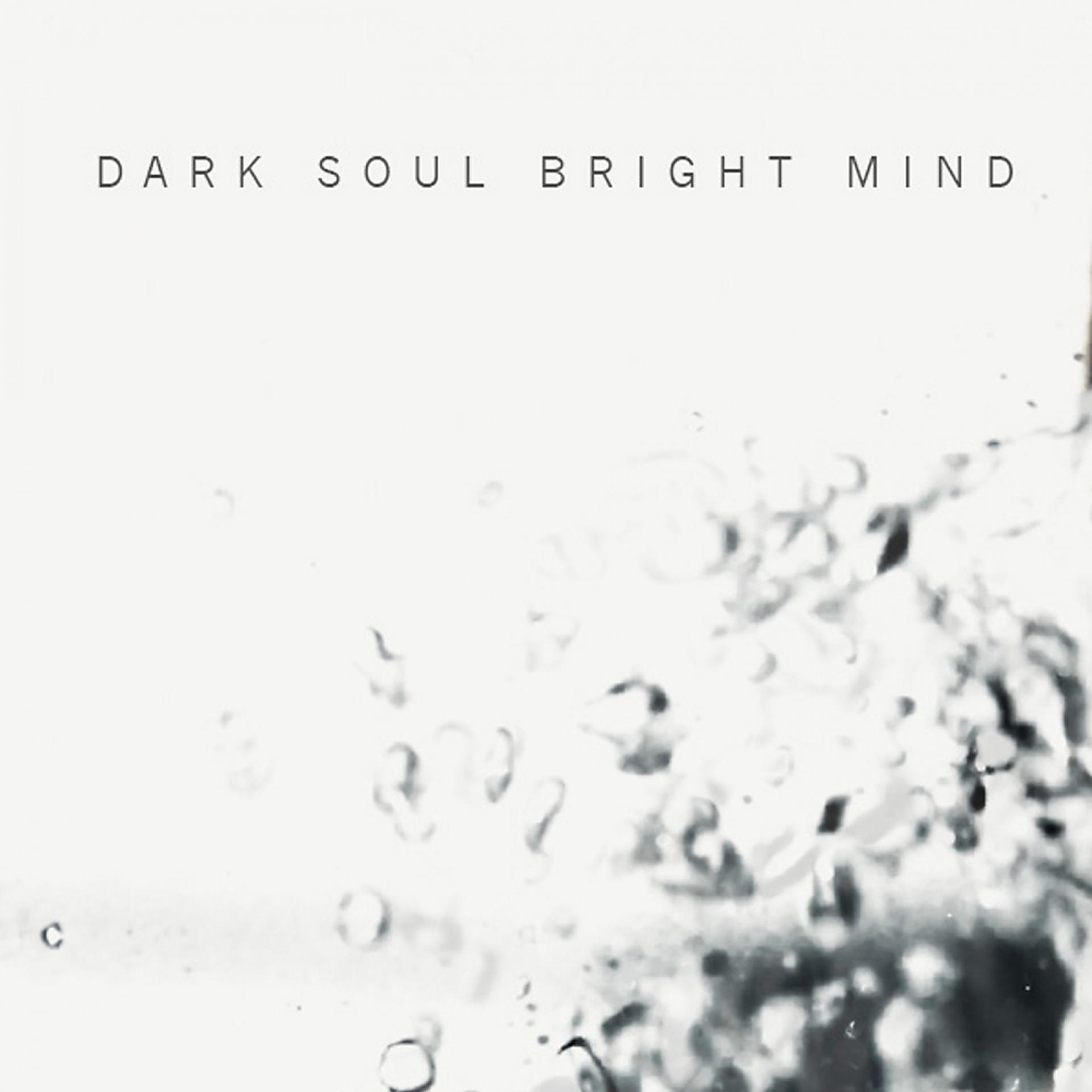 Постер альбома Dark Soul Bright Mind