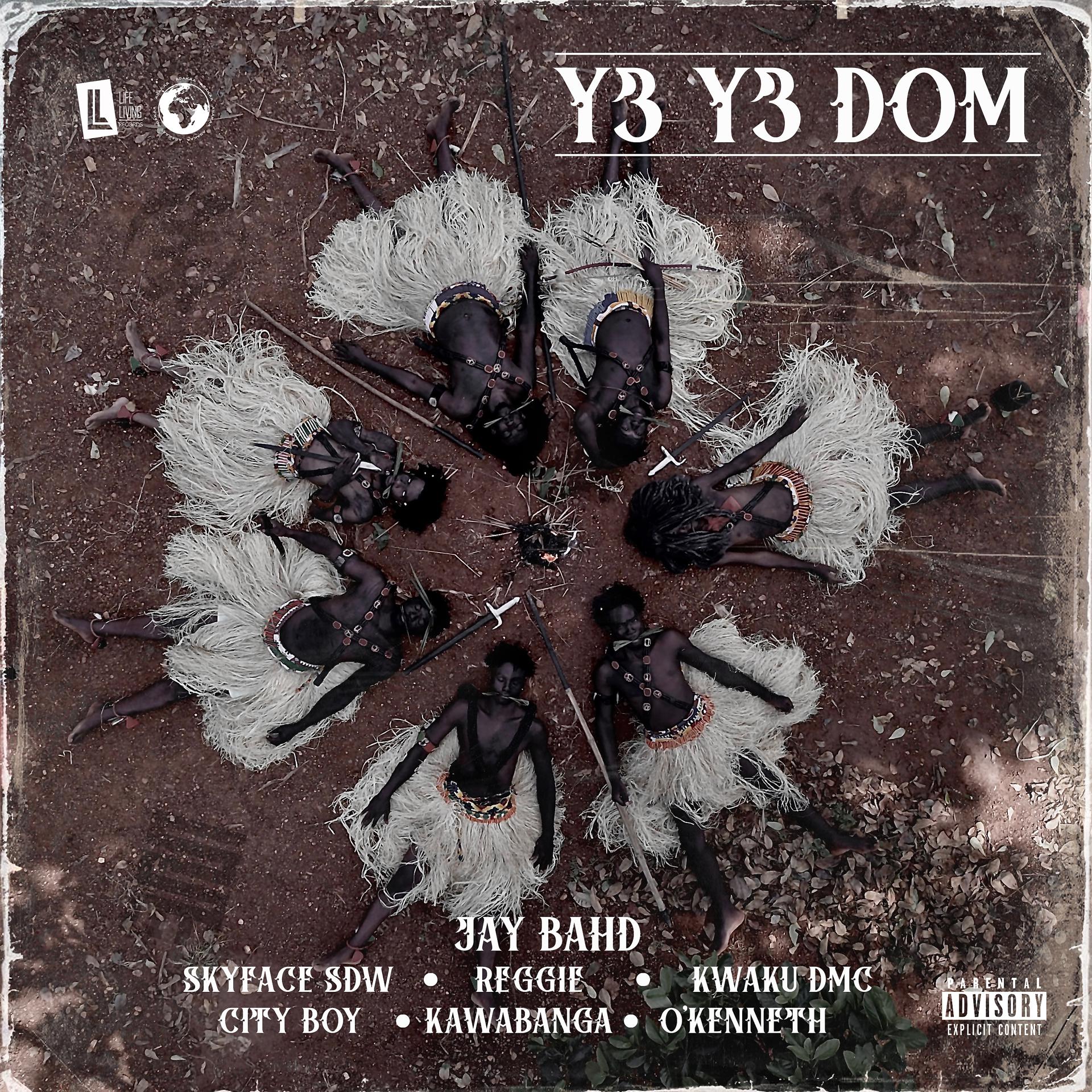 Постер альбома Y3 Y3 DOM (feat. Skyface SDW, Reggie, Kwaku DMC, City Boy, Kawabanga & O'Kenneth)