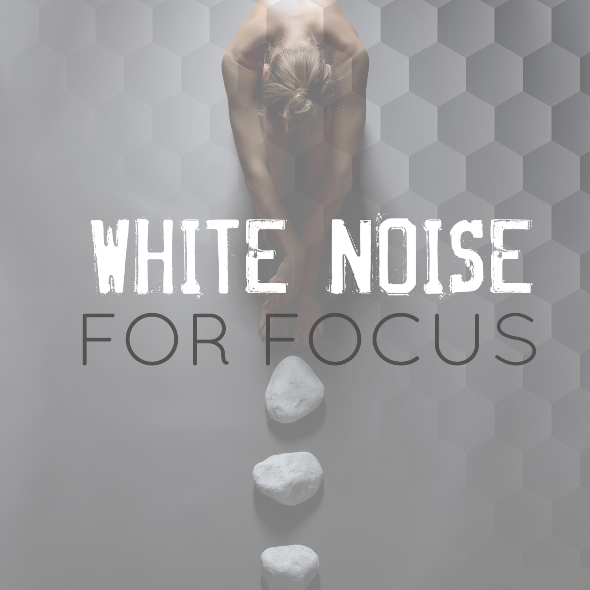 Постер альбома White Noise for Focus