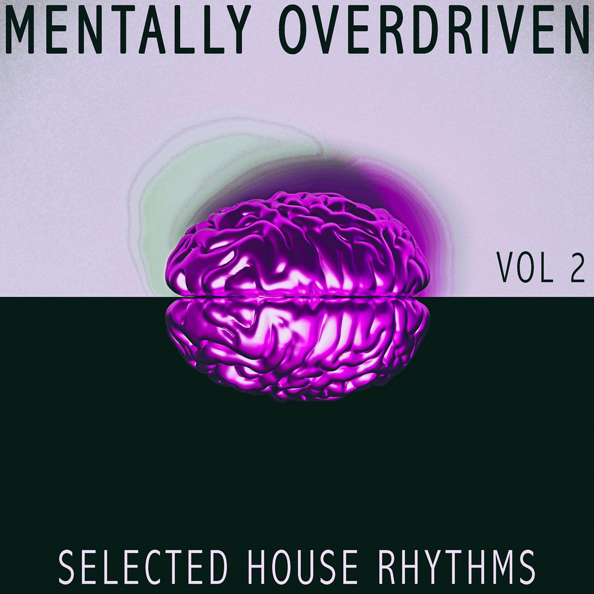 Постер альбома Mentally Overdriven Vol 2 - Selected House Rhythms