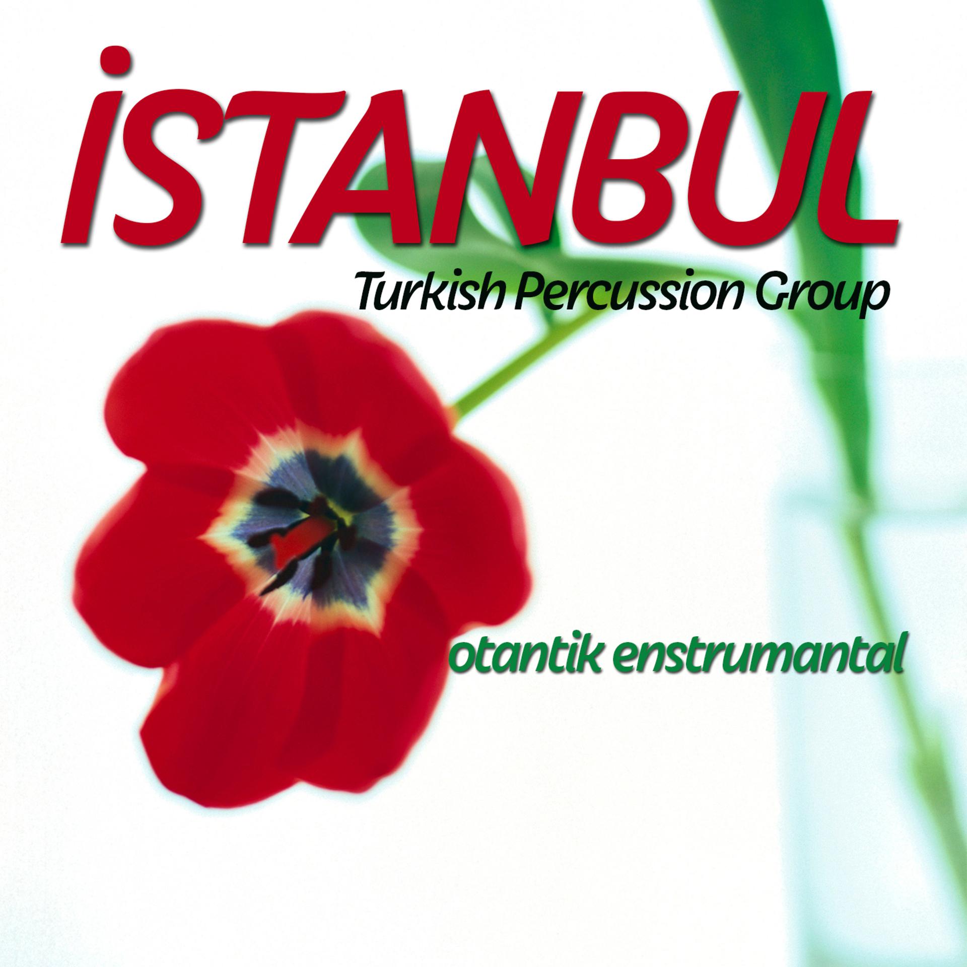 Постер альбома İstanbul Turkish Percussion Group