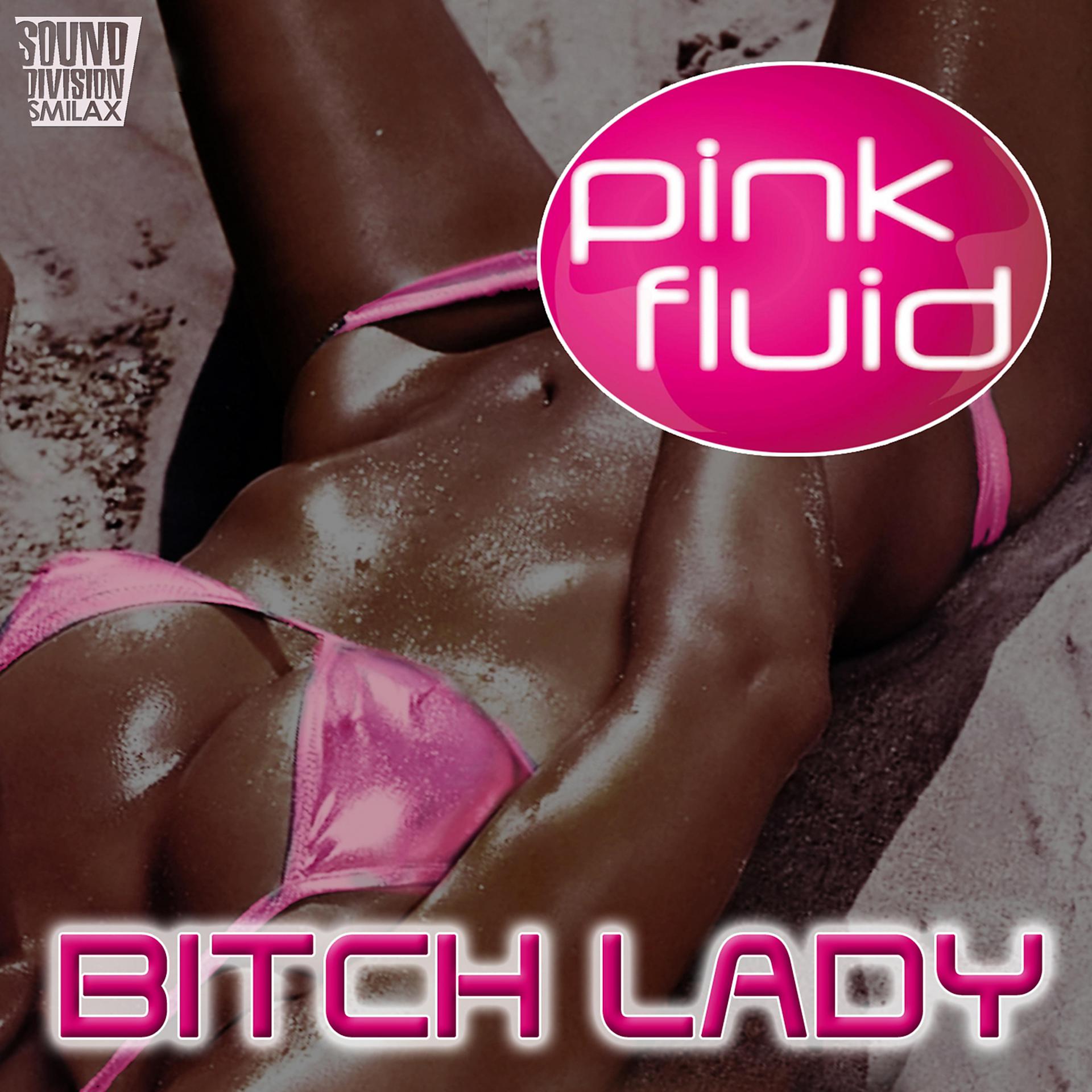 Постер альбома Bitch Lady