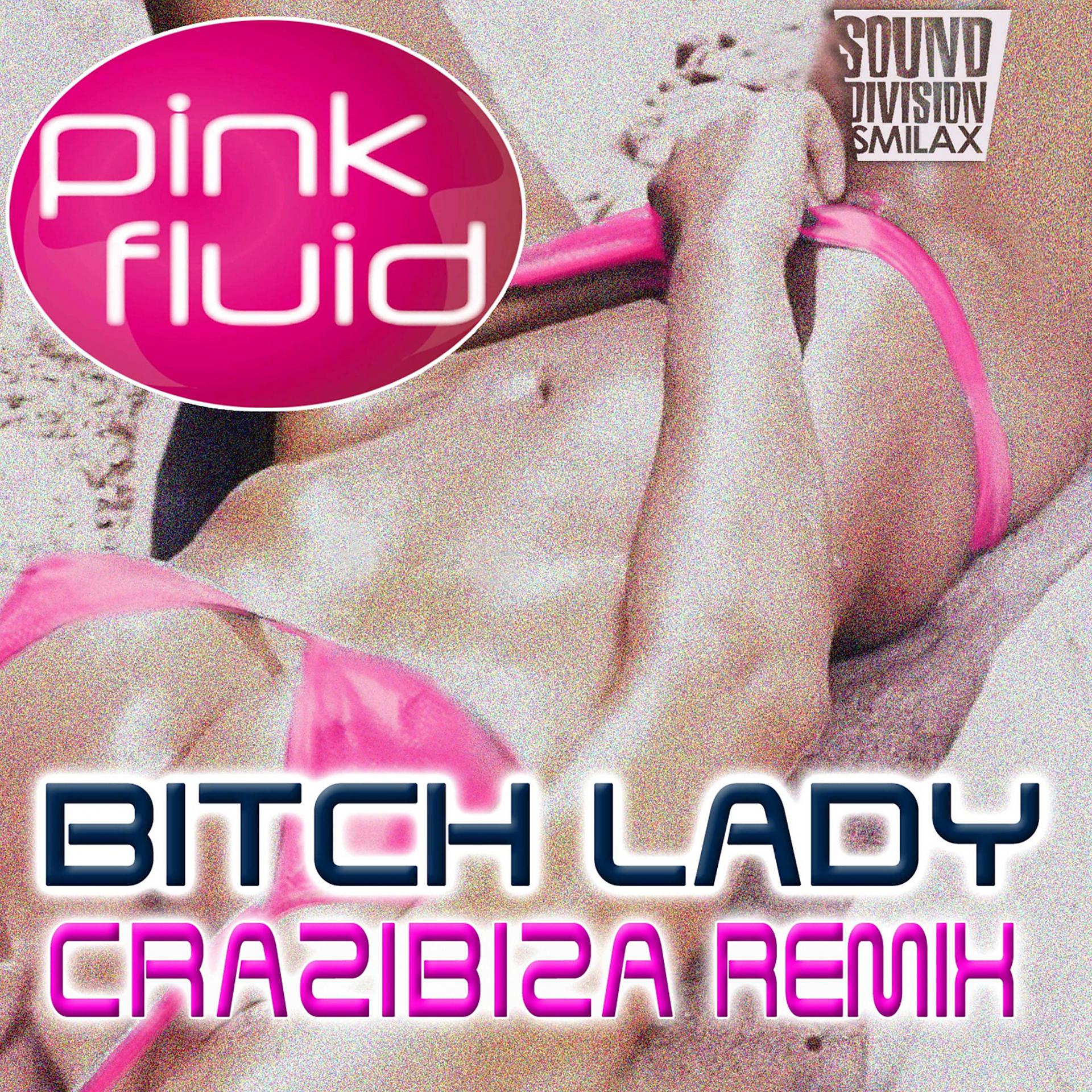 Постер альбома Bitch Lady Remix