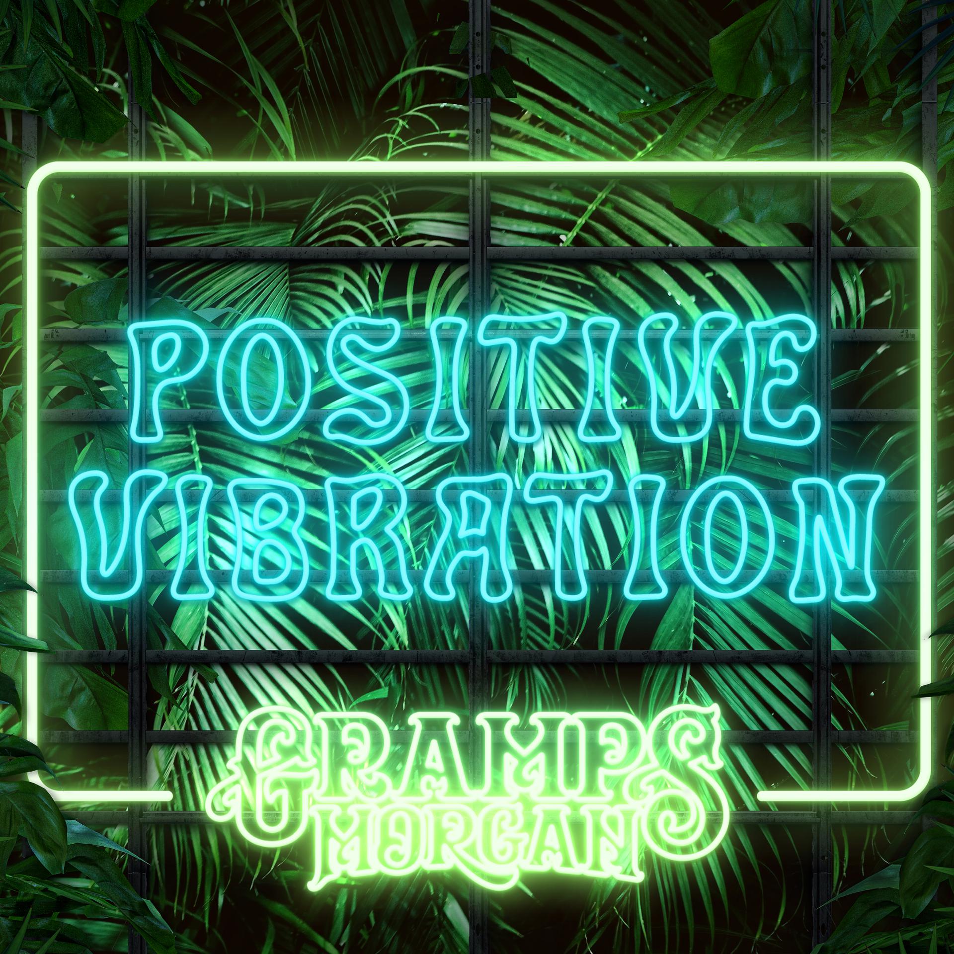 Постер альбома Positive Vibration