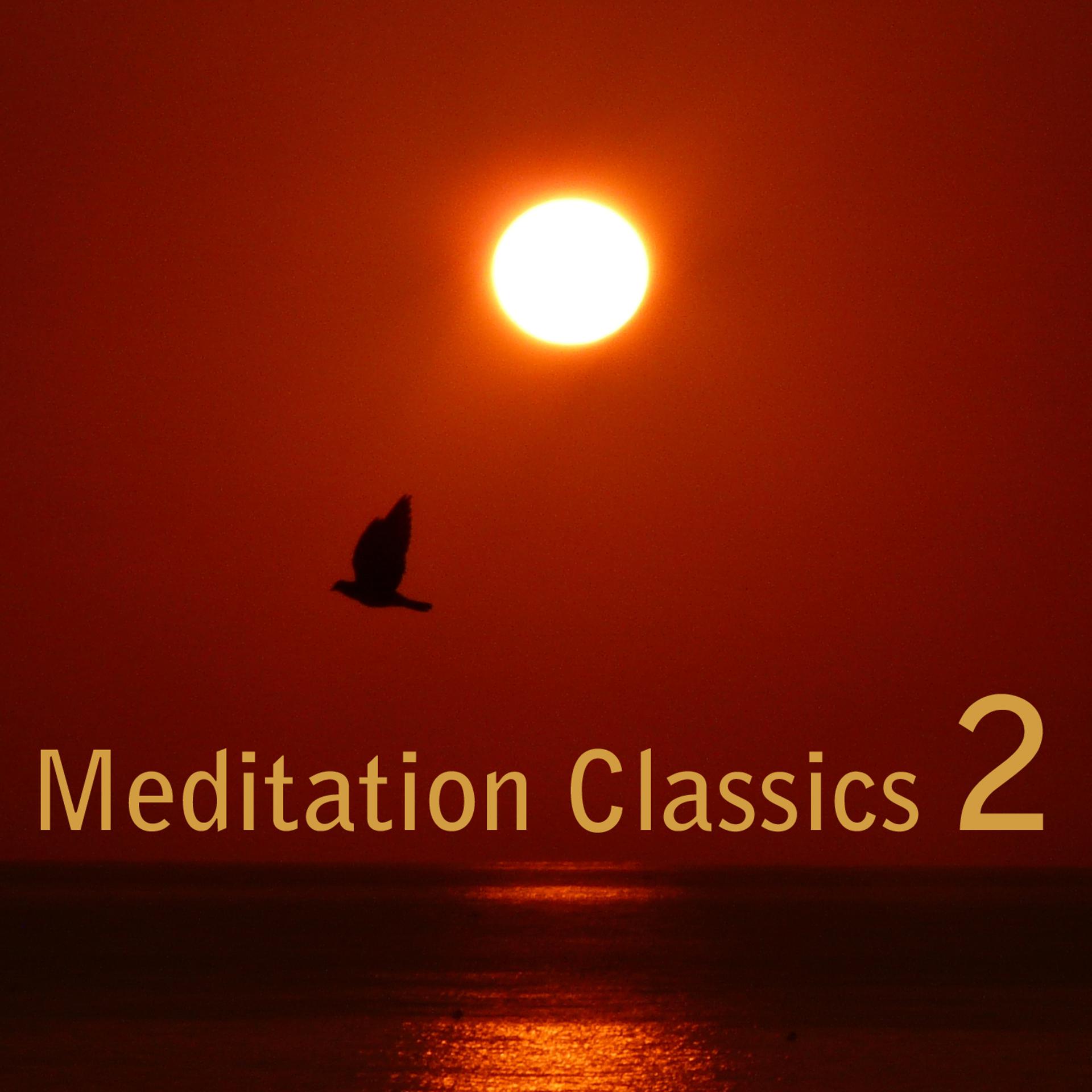 Постер альбома Meditation Classics, Vol. 2