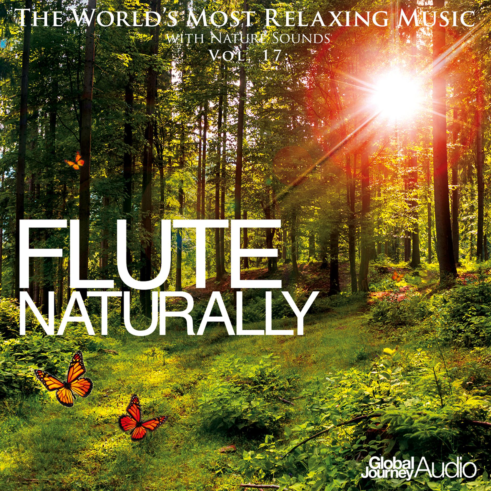 Постер альбома The World's Most Relaxing Music with Nature Sounds, Vol: 17: Flute Naturally