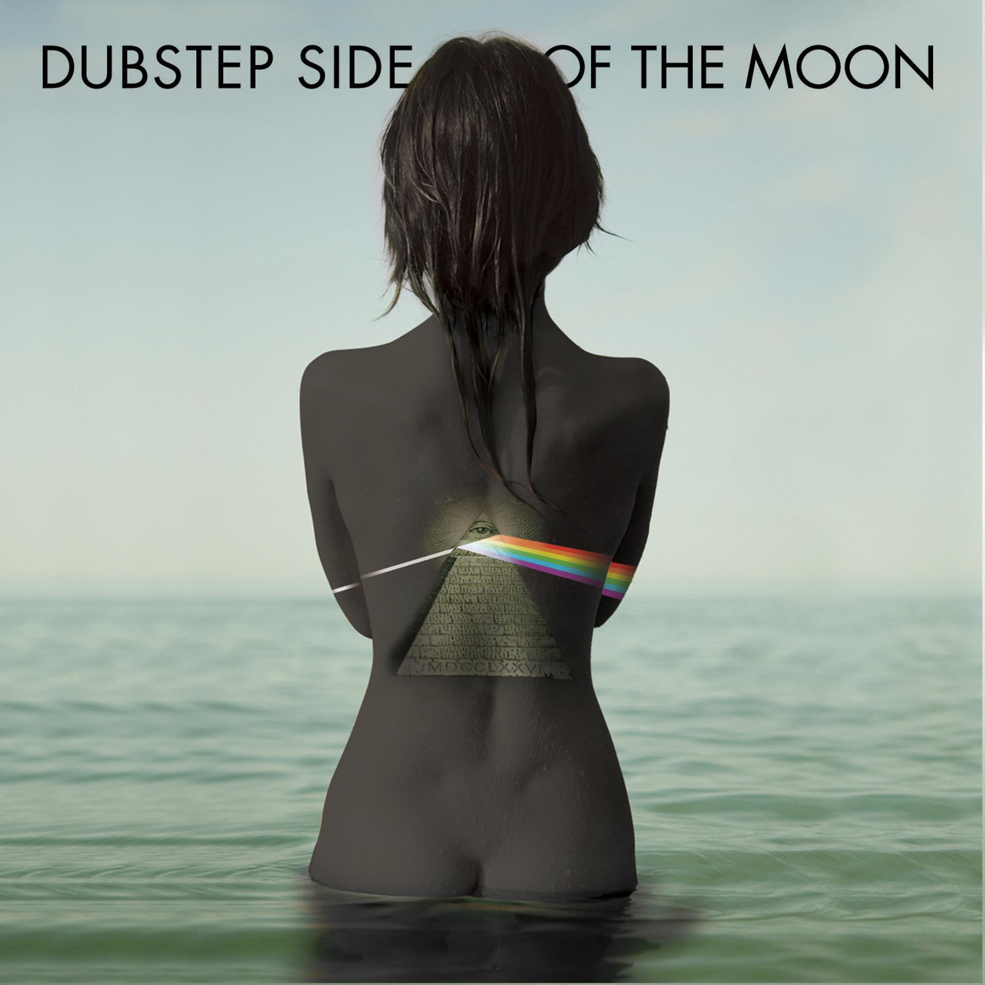 Постер альбома Dubstep Side of the Moon - Renditions of Pink Floyd