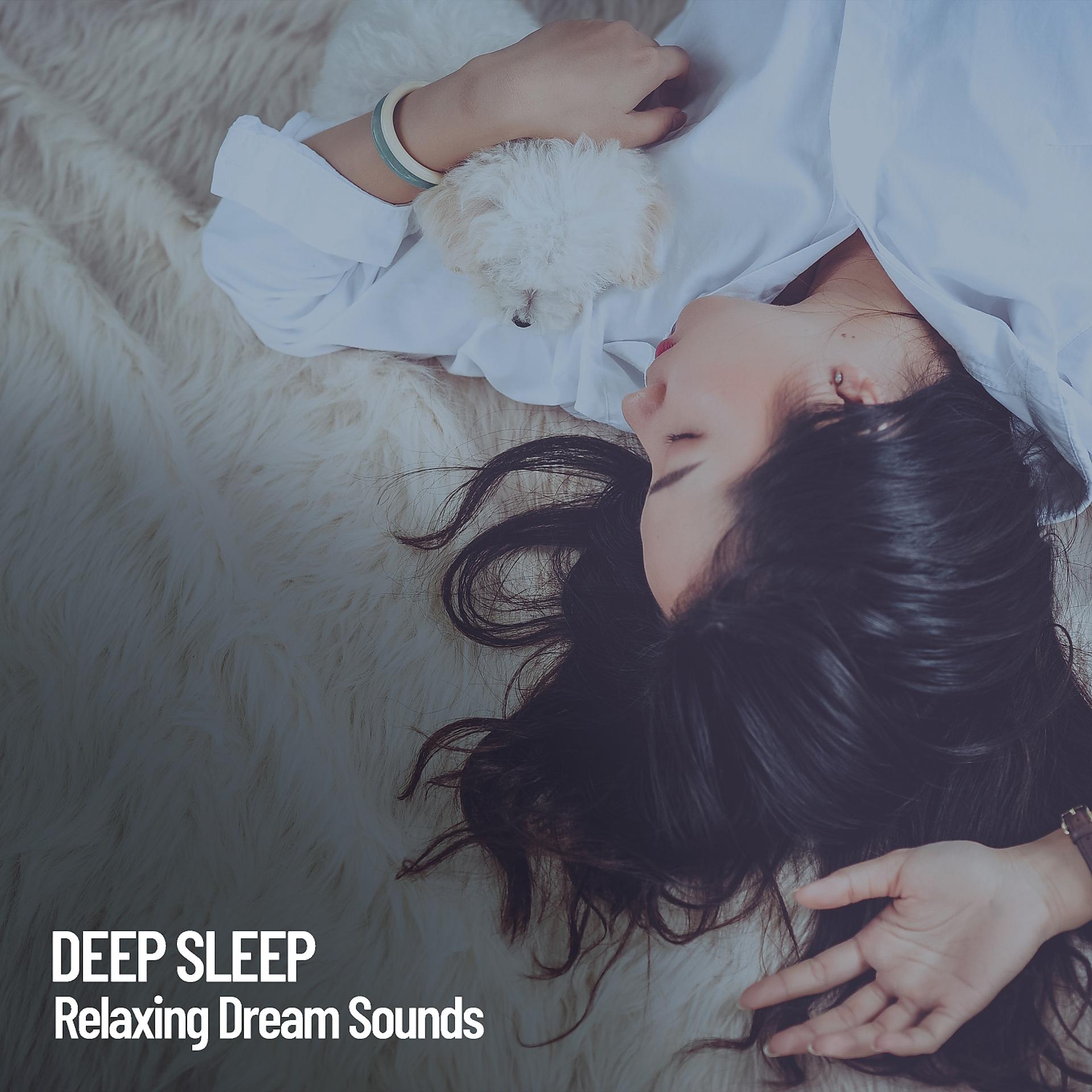 Постер альбома Deep Sleep: Relaxing Dream Sounds