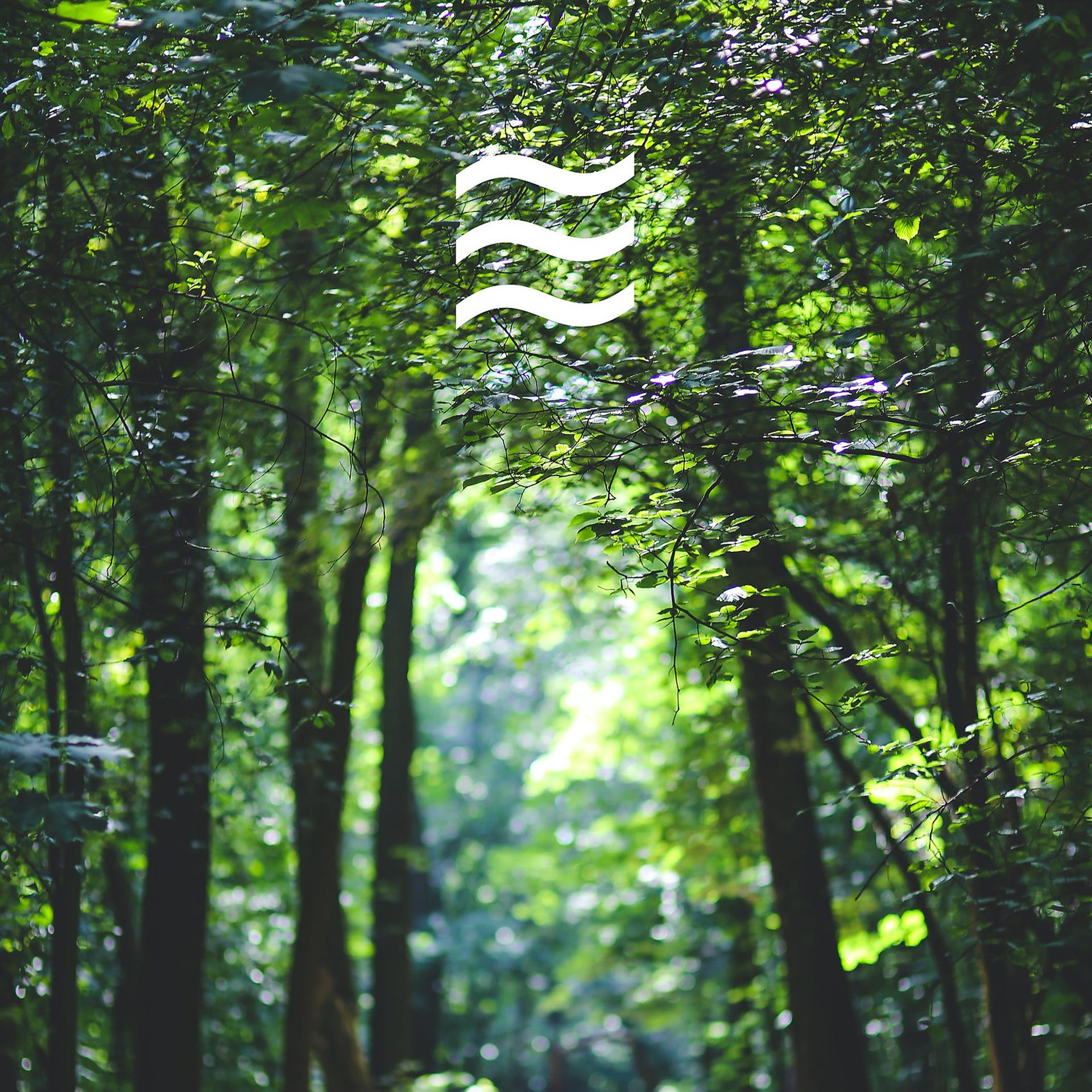 Постер альбома Calming Rain Sounds: Nature Peaceful Dreaming (Loopable)
