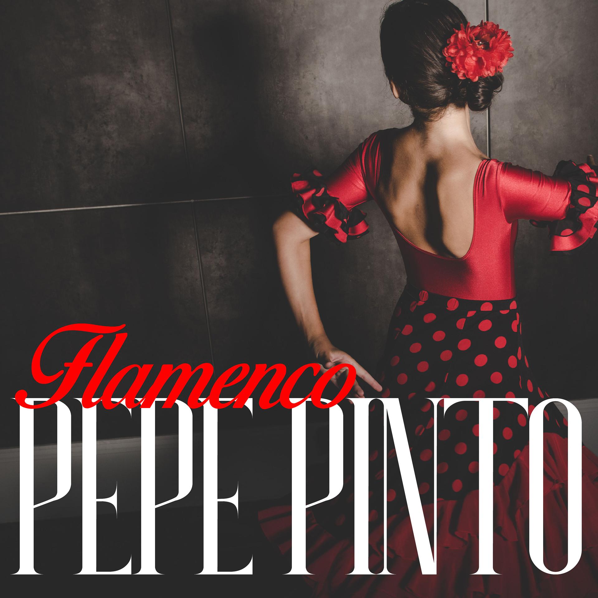 Постер альбома Flamenco Pepe Pinto