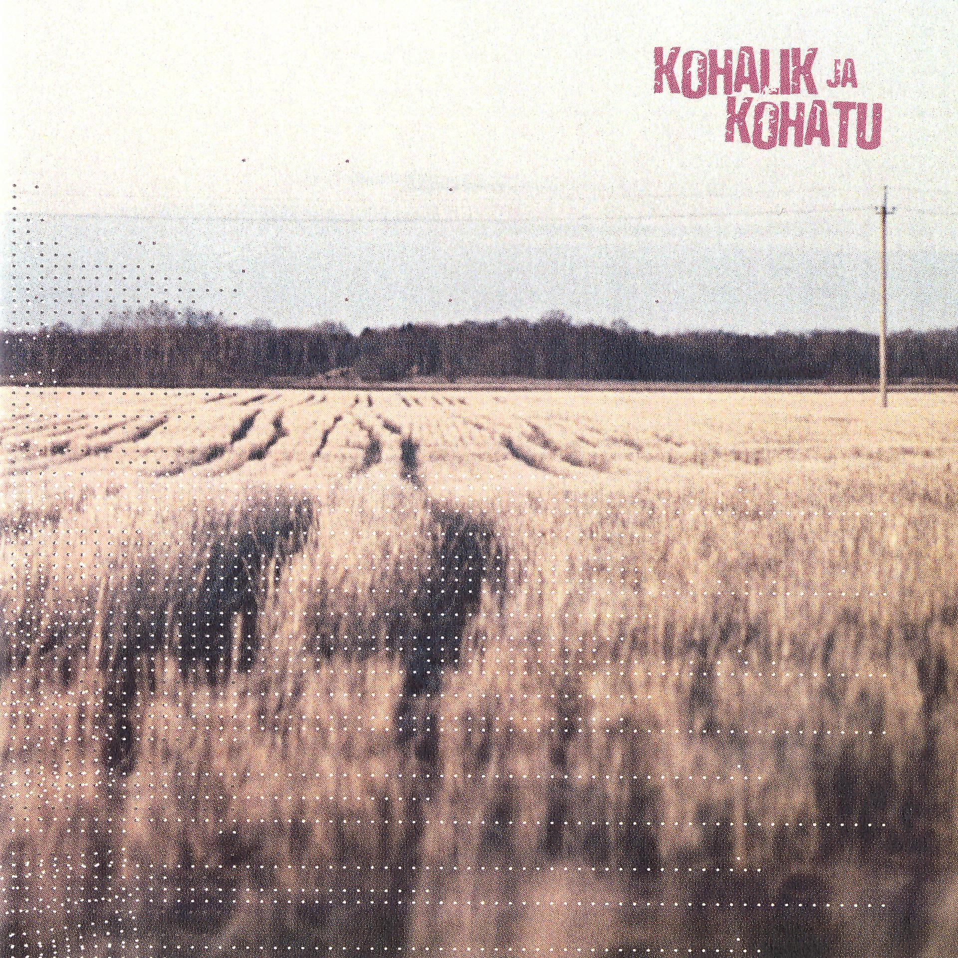 Постер альбома Kohalik Ja Kohatu (Compilation of Estonian Independent Music)