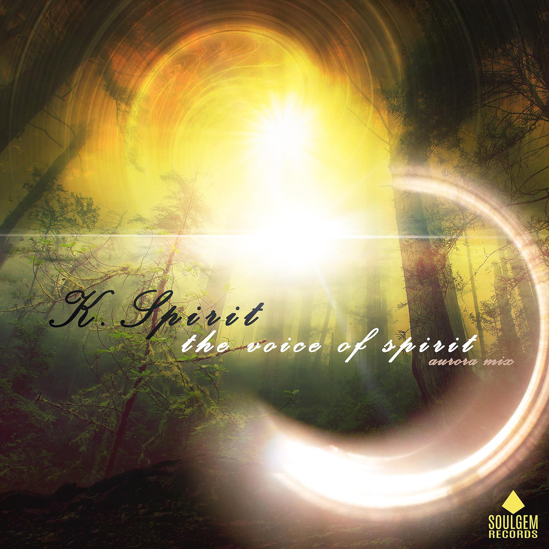 Постер альбома The voice of spirit
