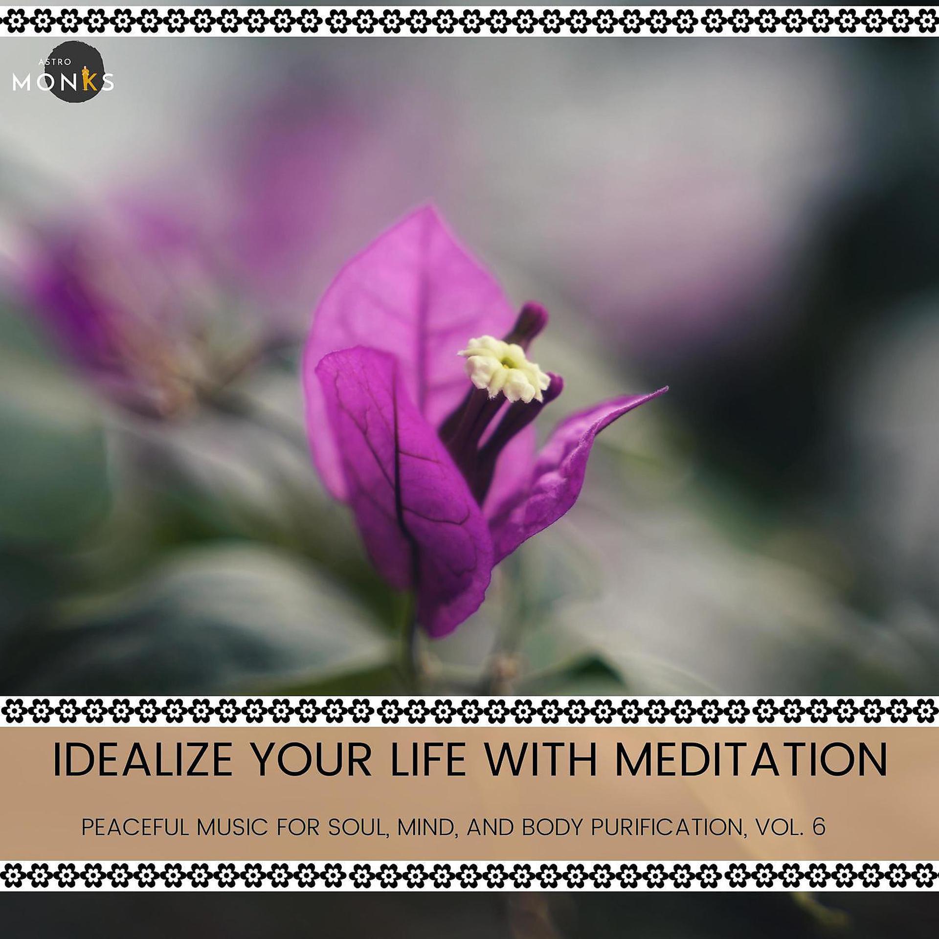 Постер альбома Idealize Your Life with Meditation - Peaceful Music for Soul, Mind, and Body Purification, Vol. 6