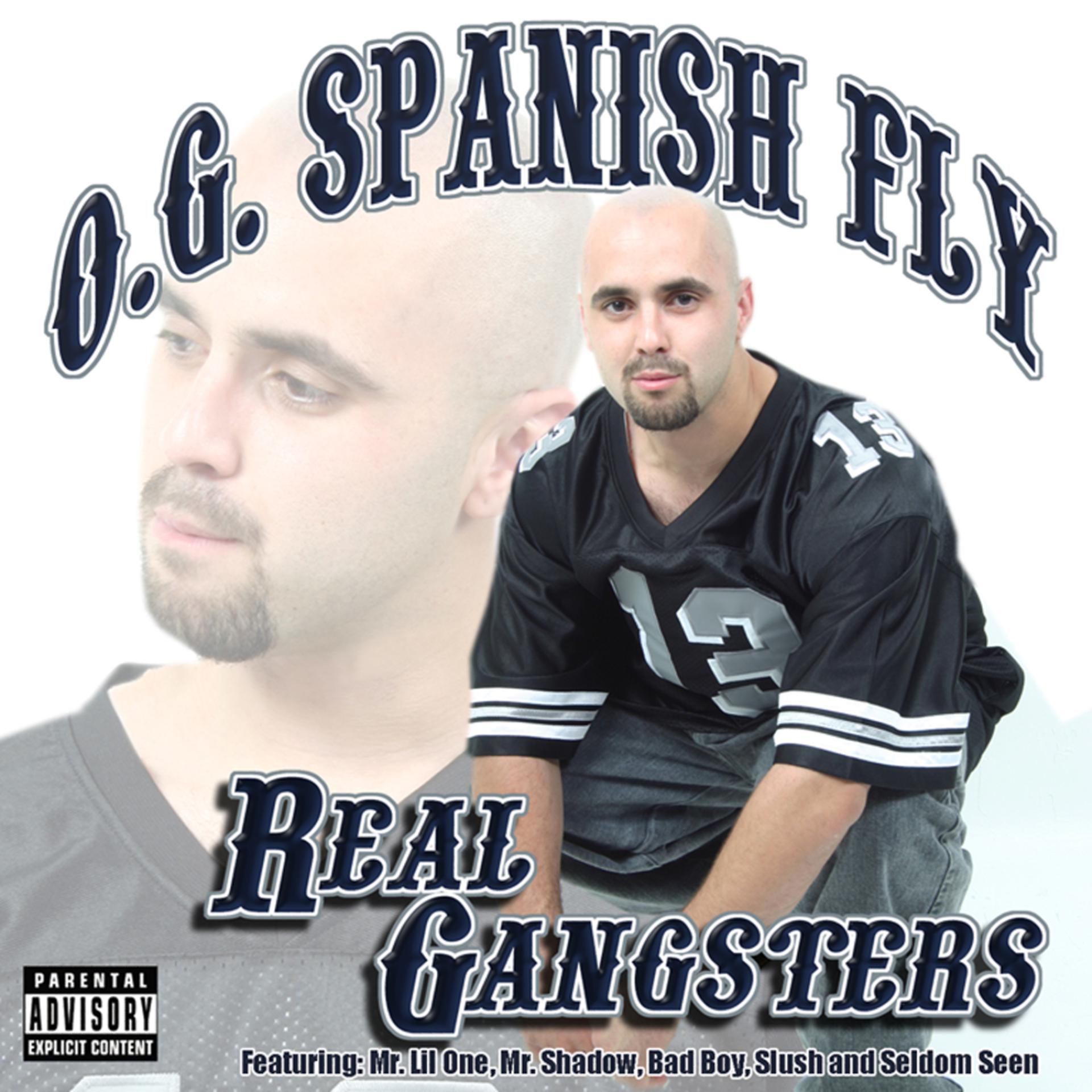 Постер альбома Real Gangsters