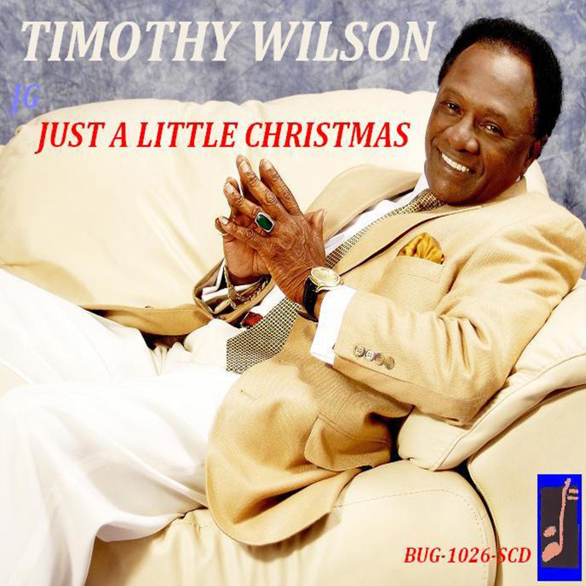 Постер альбома Just A Little Christmas