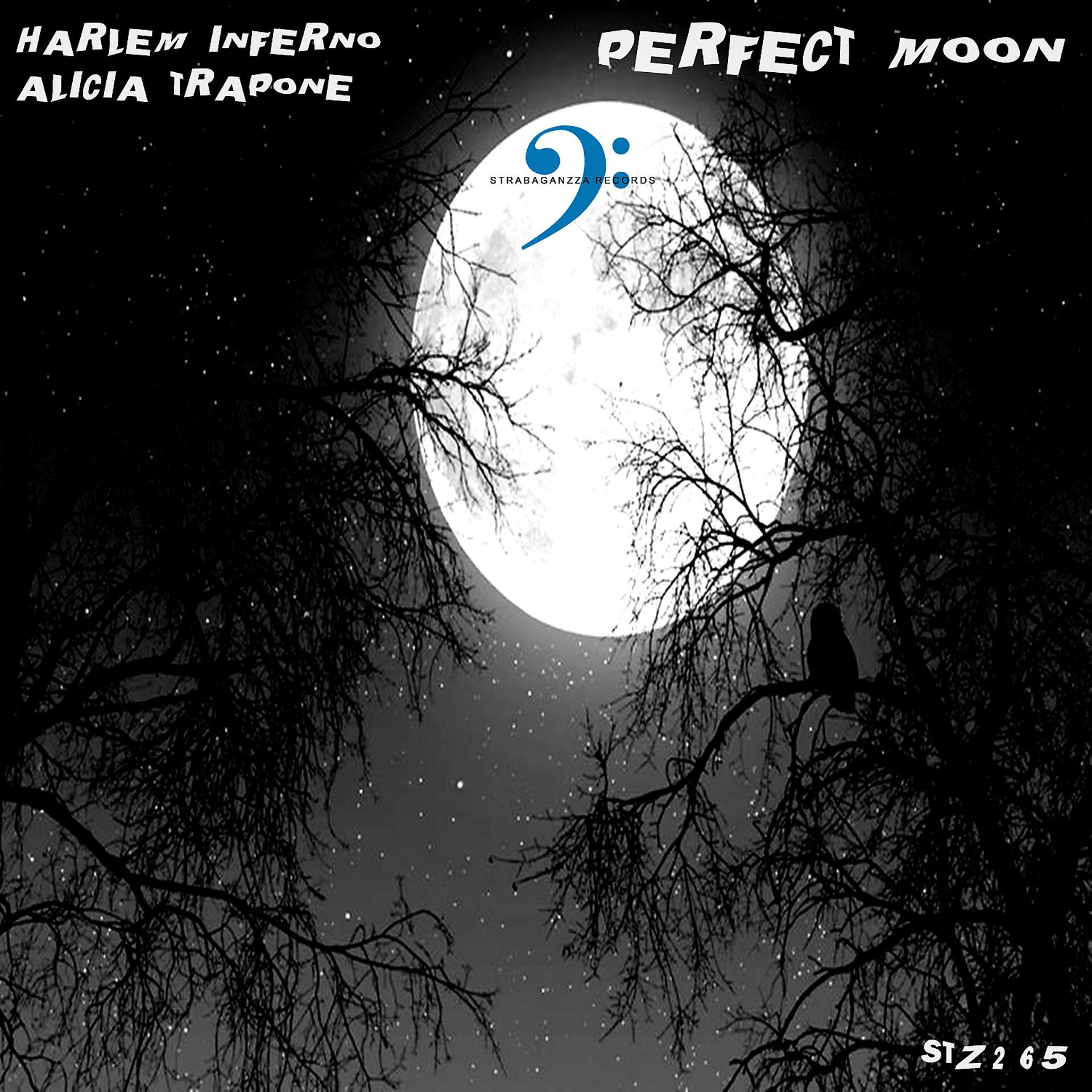 Постер альбома Perfect Moon