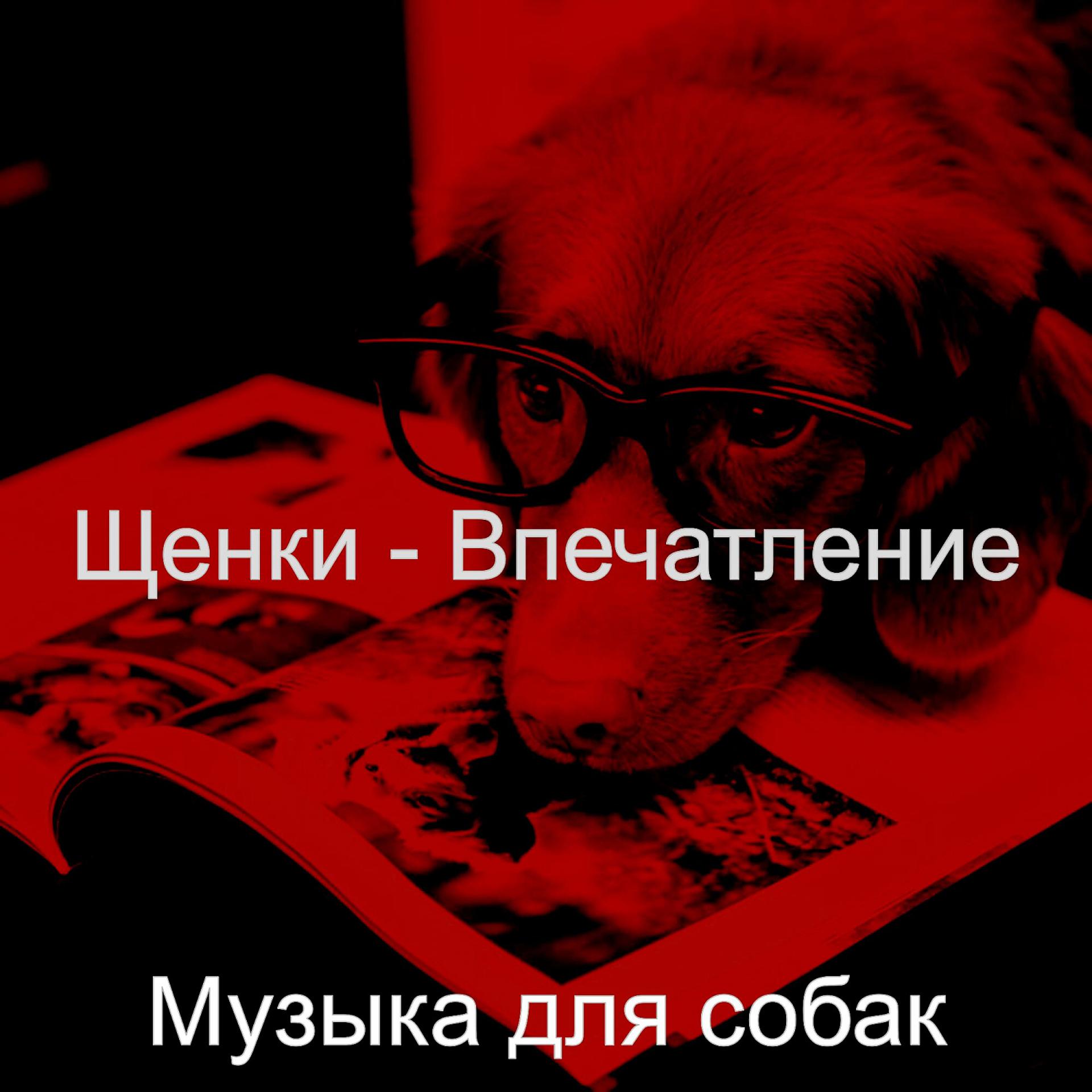 Постер альбома Щенки - Впечатление