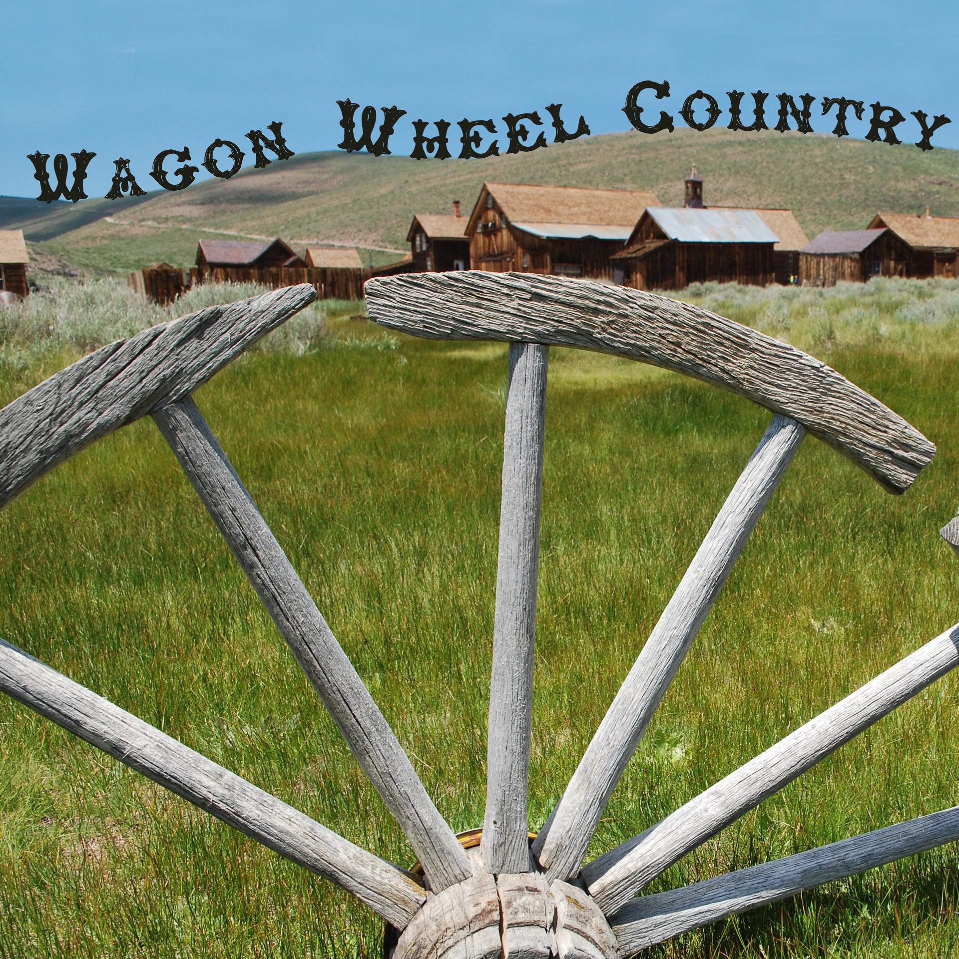 Постер альбома Wagon Wheel Country