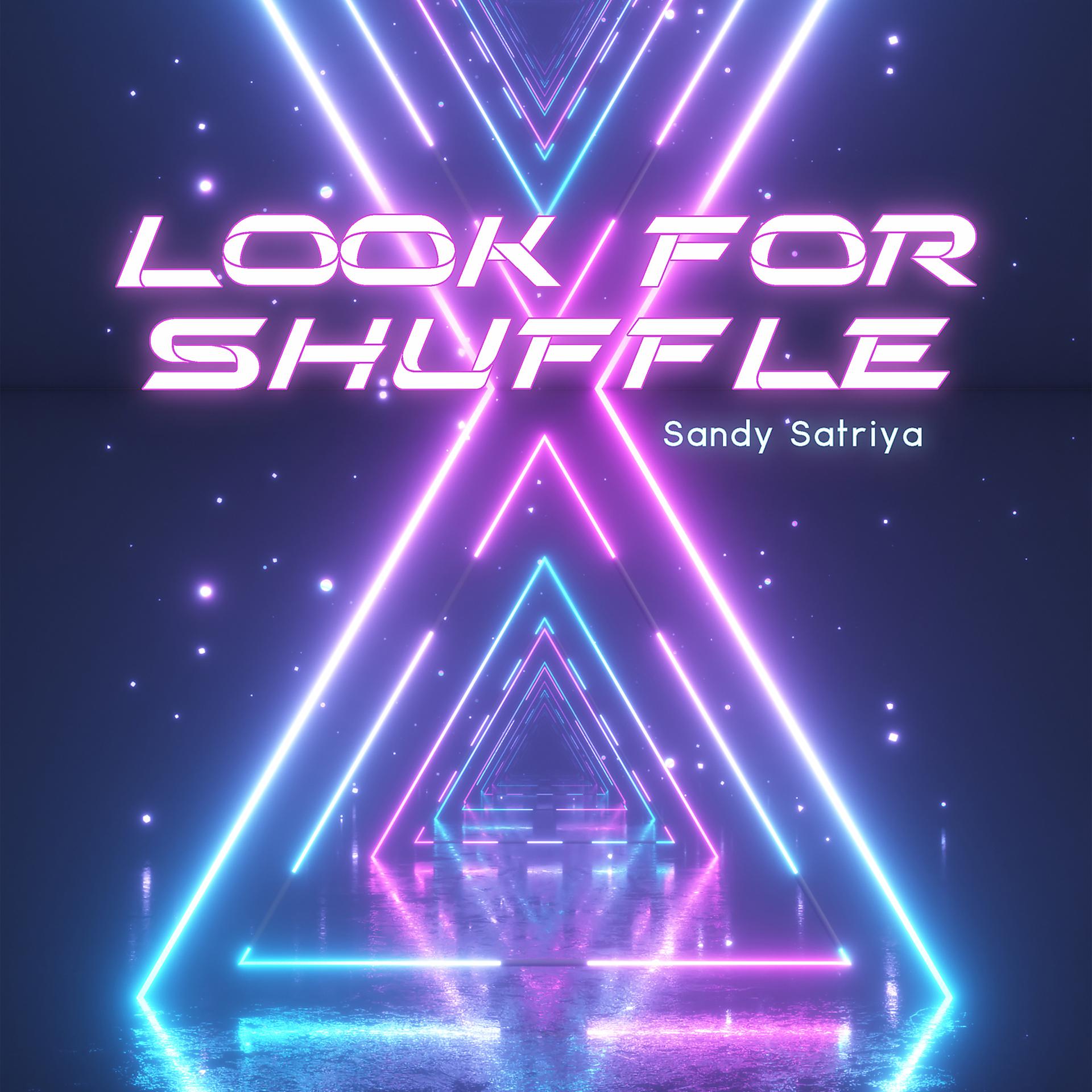 Постер альбома Look for Shuffle