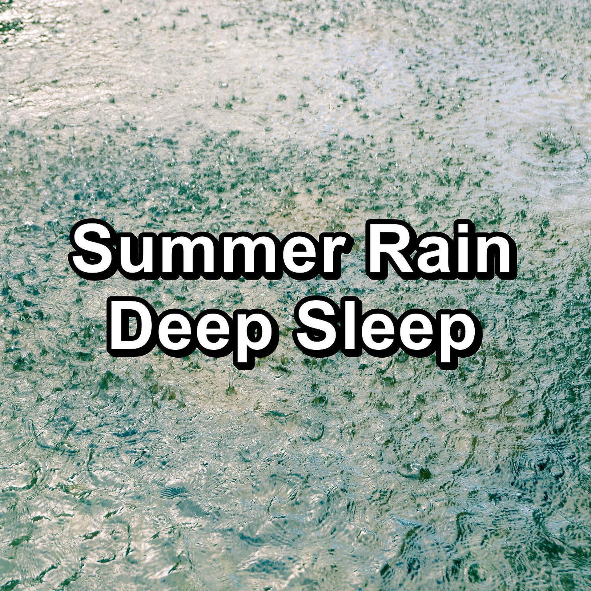 Постер альбома Summer Rain Deep Sleep