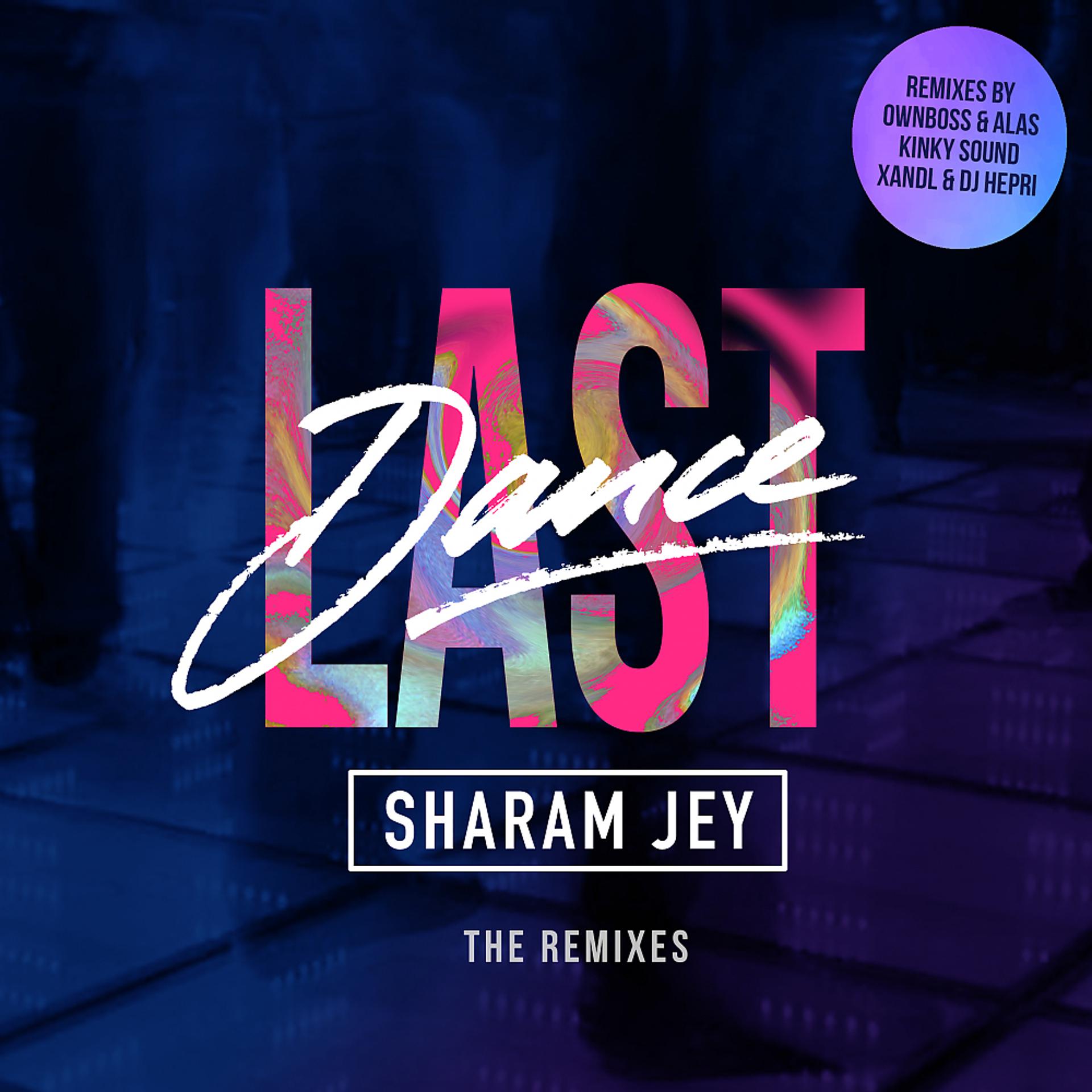 Постер альбома Last Dance (The Remixes)