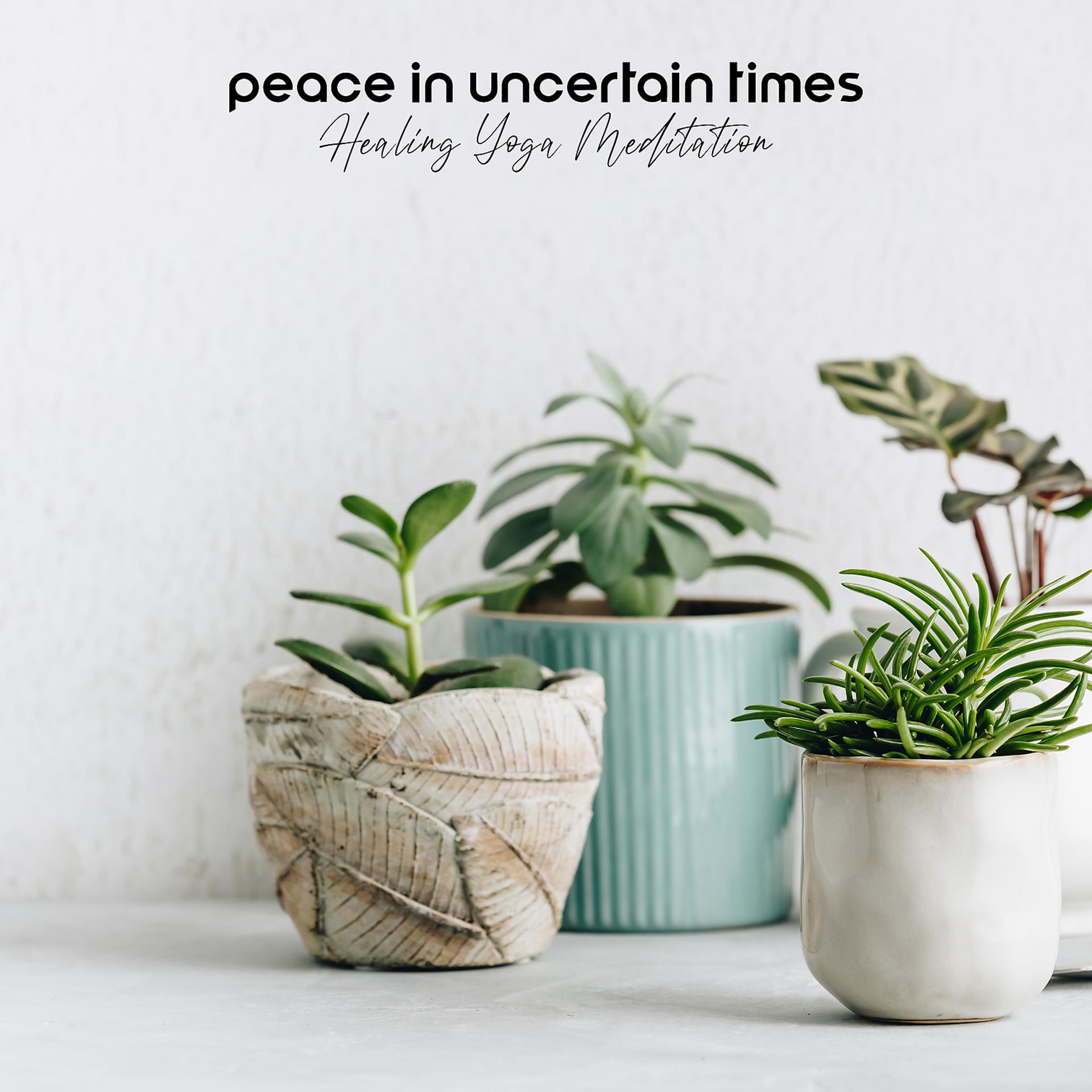 Постер альбома Peace in Uncertain Times - Healing Yoga Meditation and Beautiful Relaxing Music for Stress Relief
