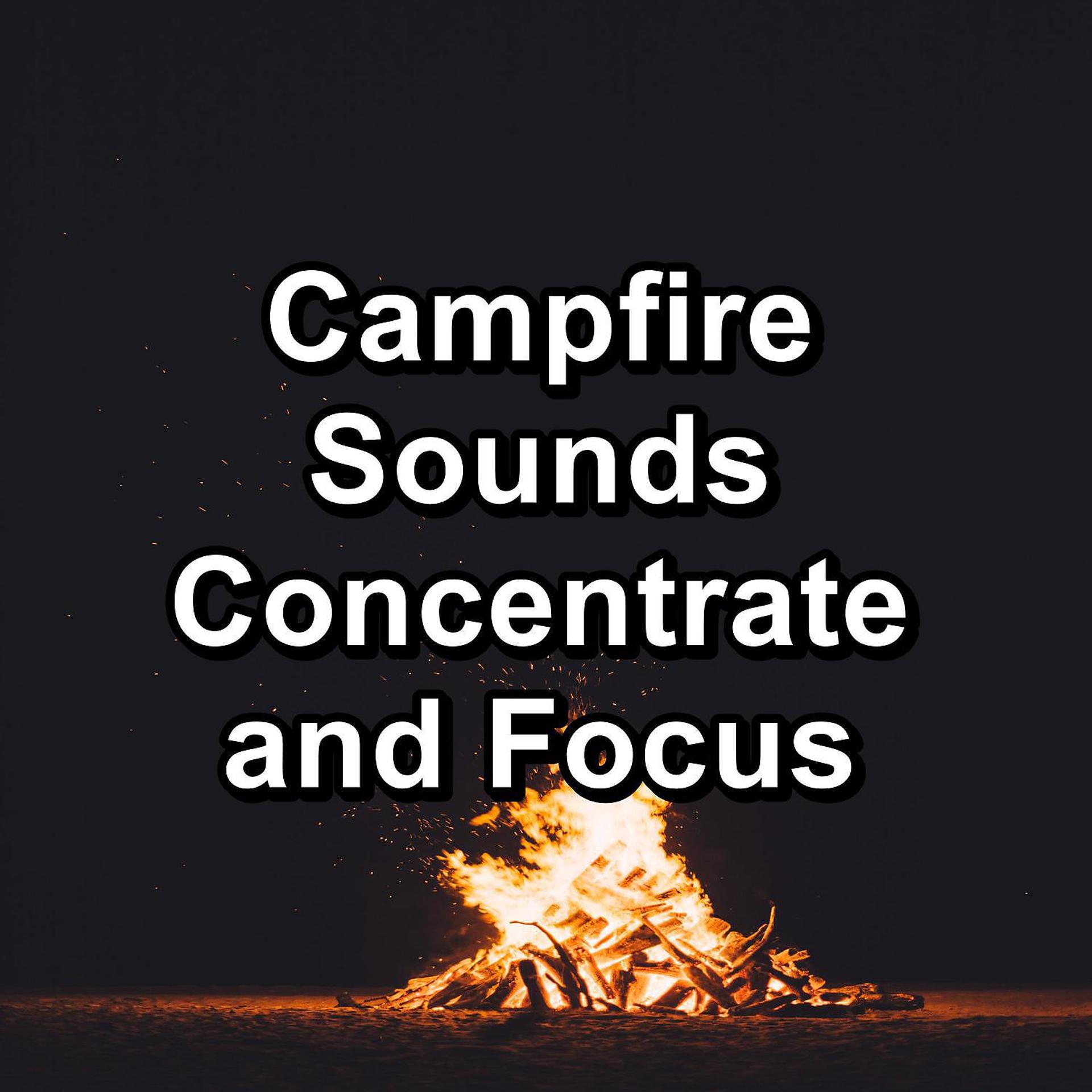 Постер альбома Campfire Sounds Concentrate and Focus