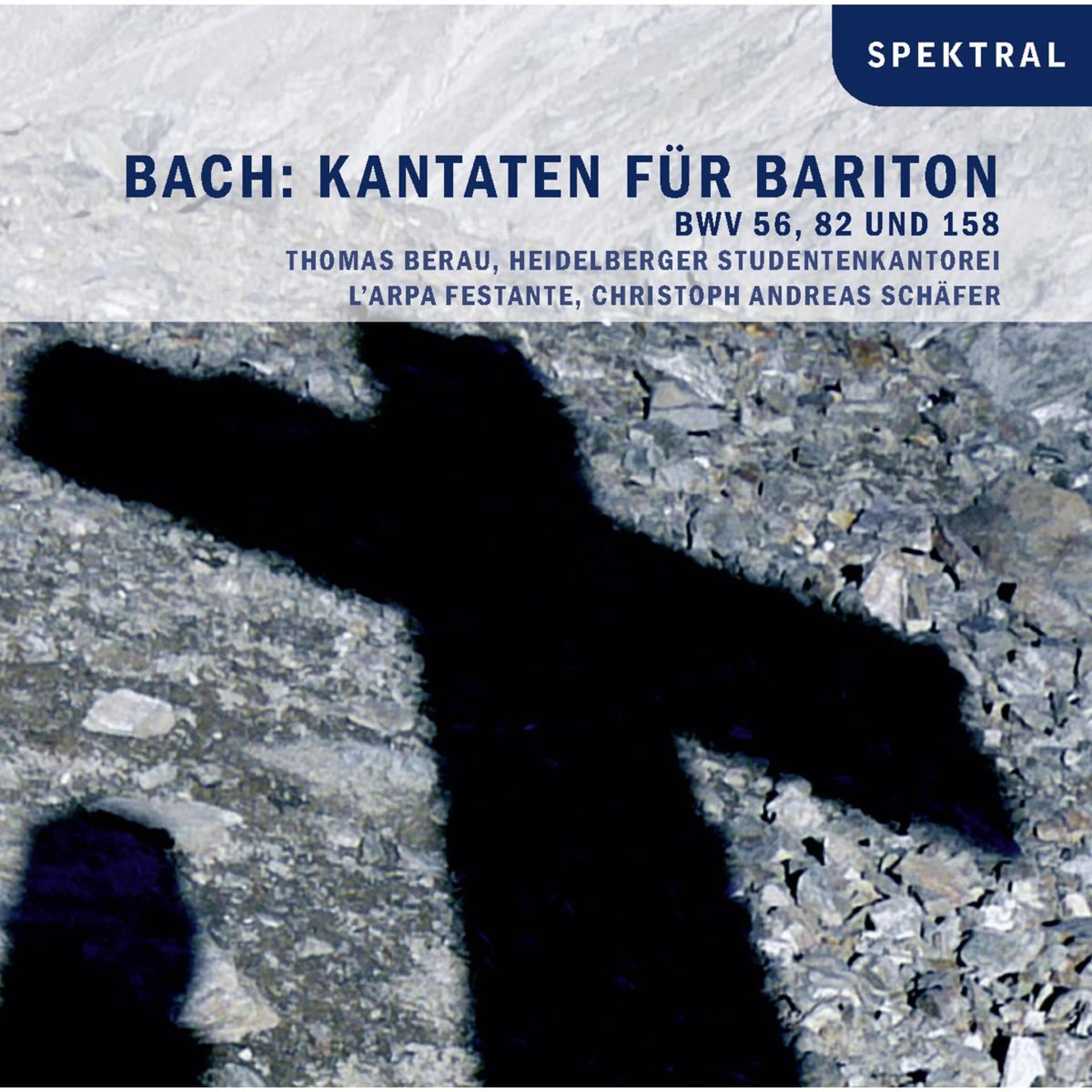 Постер альбома Bach: Kantaten Für Bariton