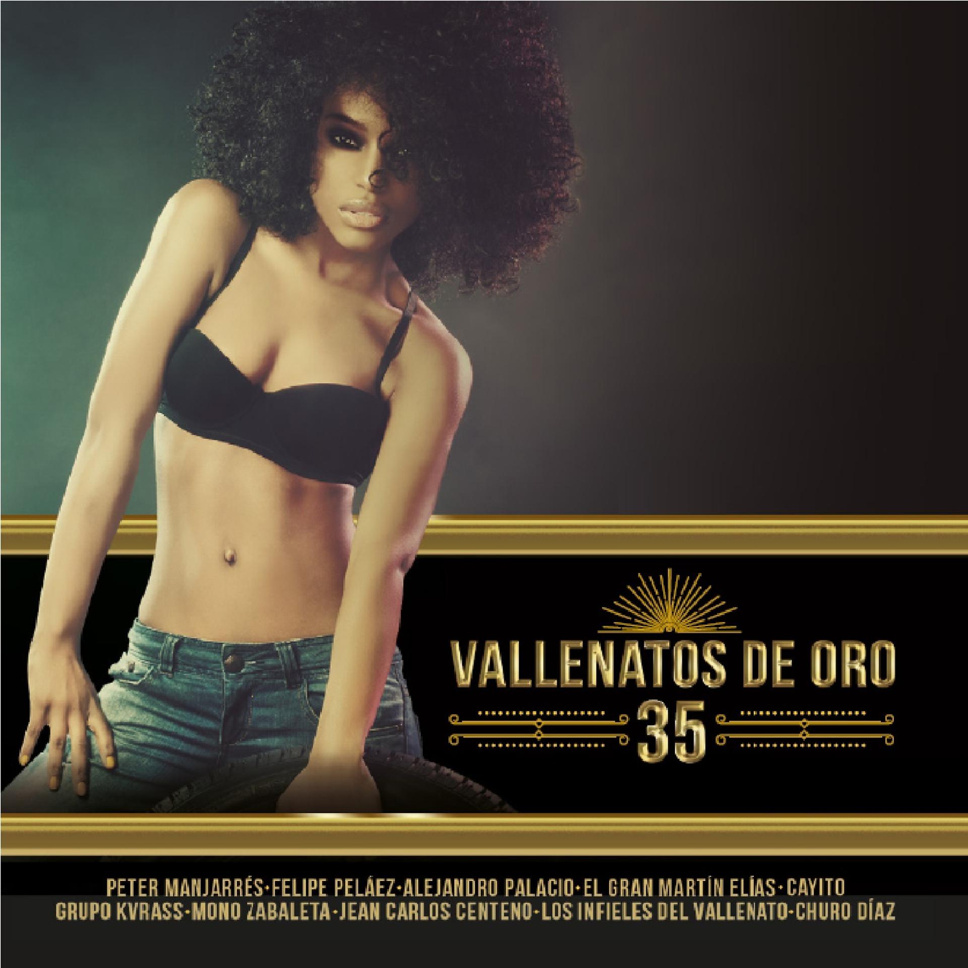 Постер альбома Vallenatos de Oro, Vol. 35