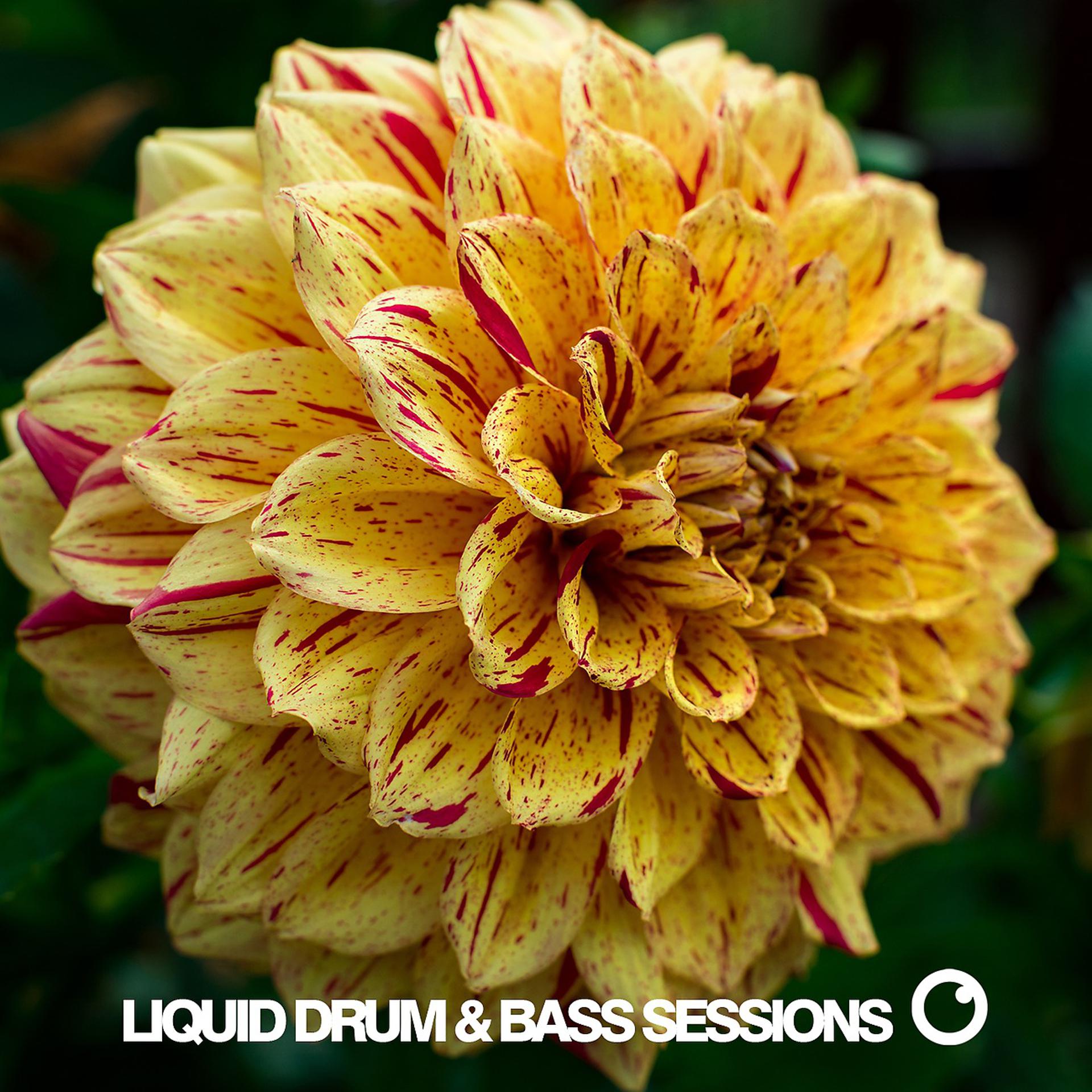 Постер альбома Liquid Drum & Bass Sessions Vol 11