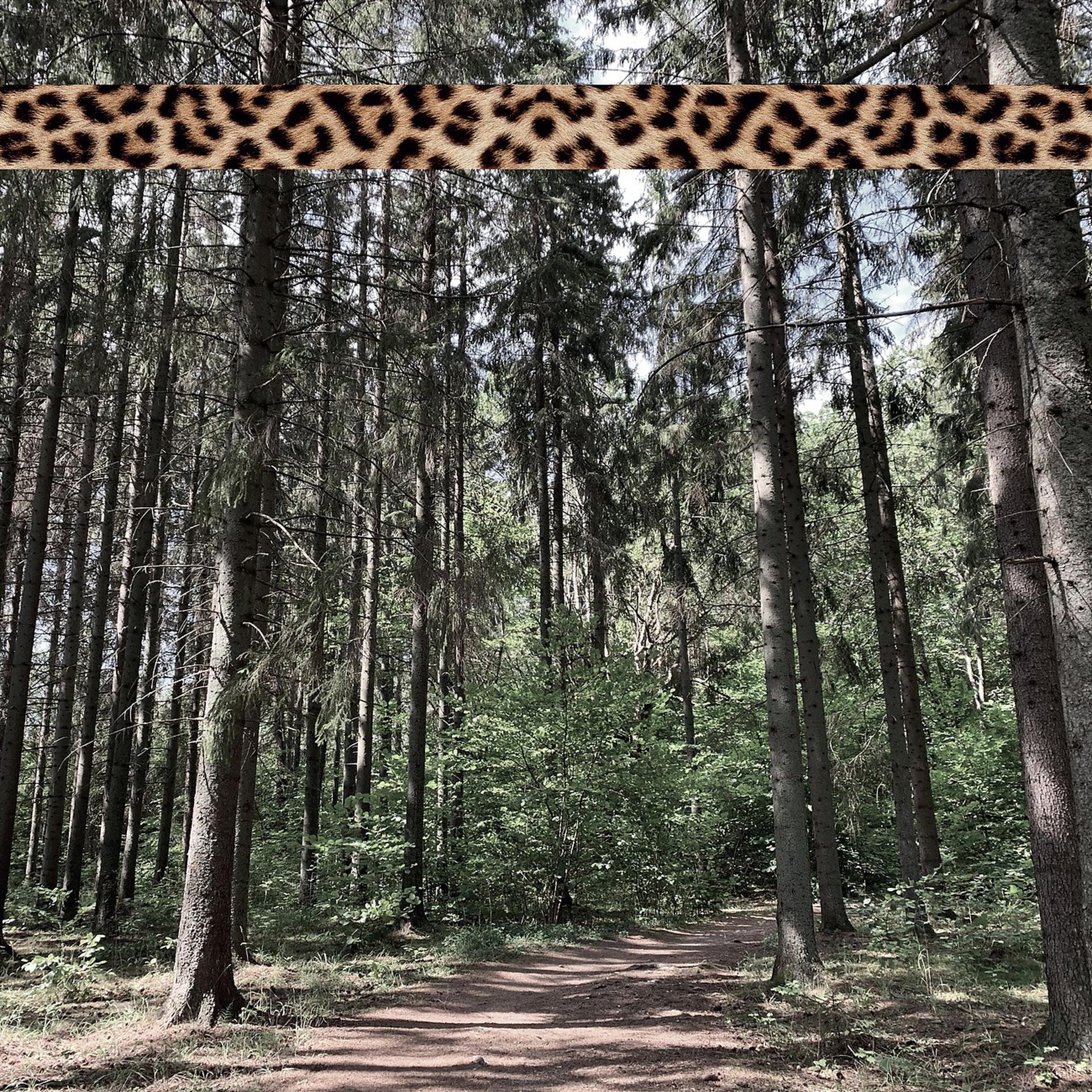 Постер альбома Leopard Tape 003
