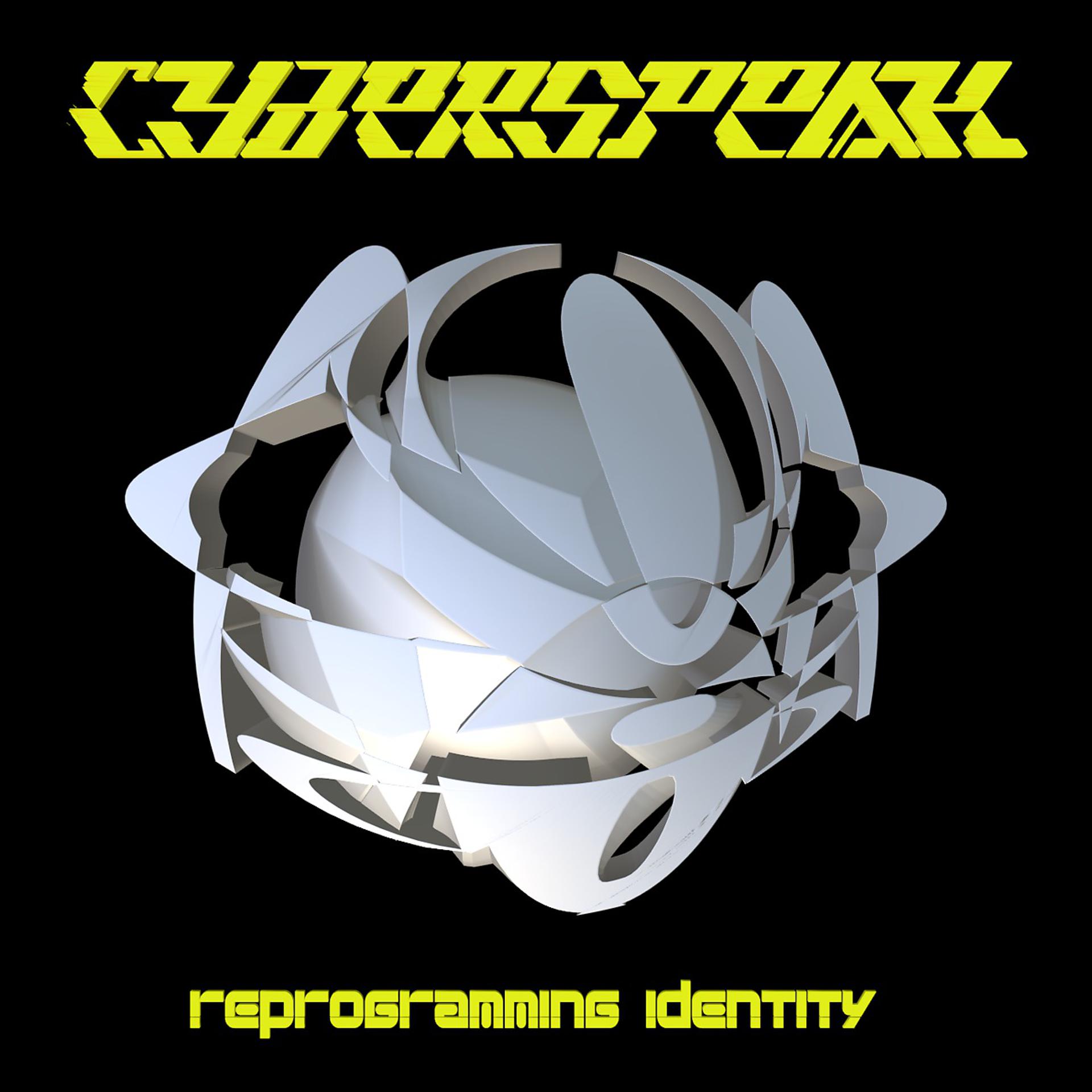 Постер альбома Reprogramming Identity 2