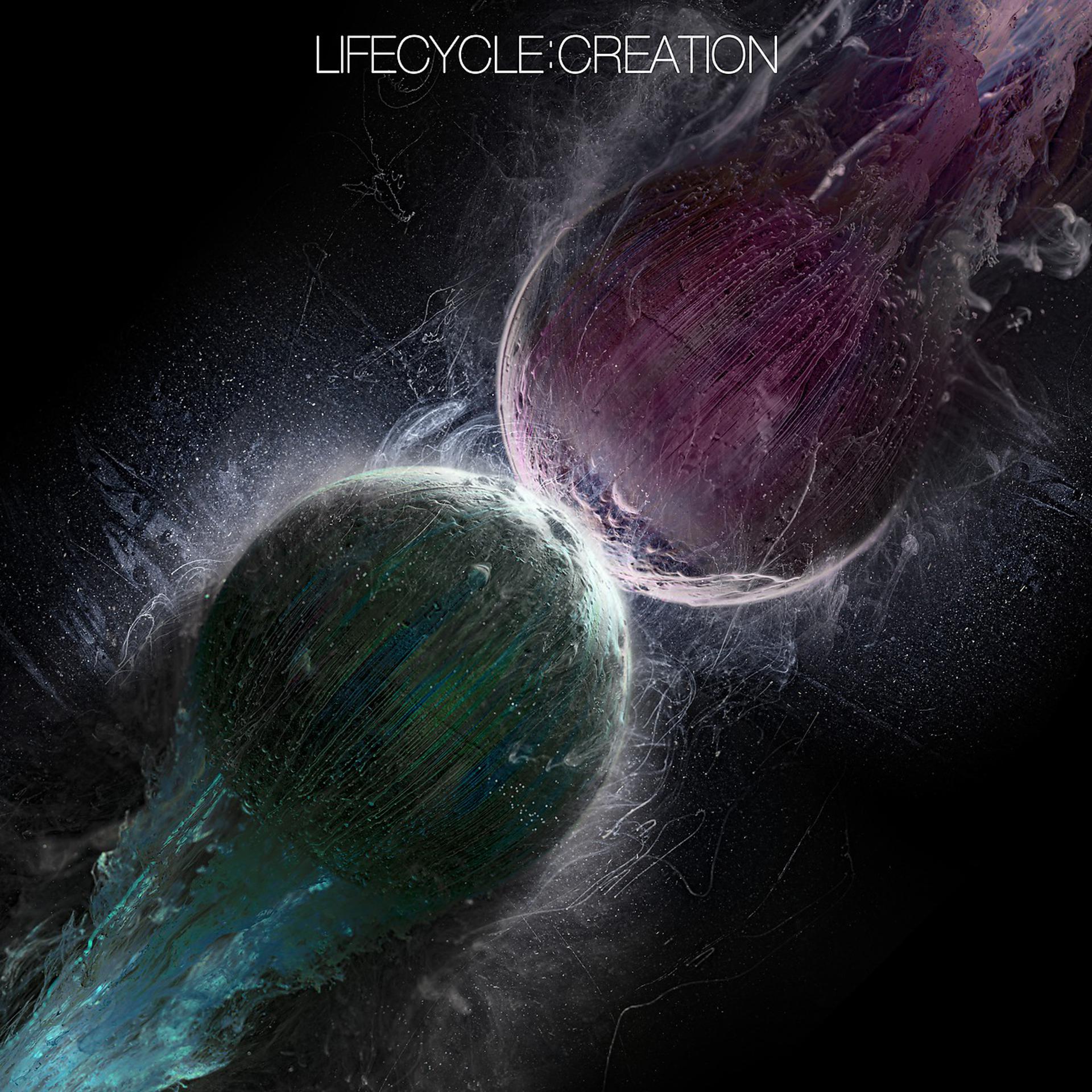 Постер альбома Lifecycle: Creation