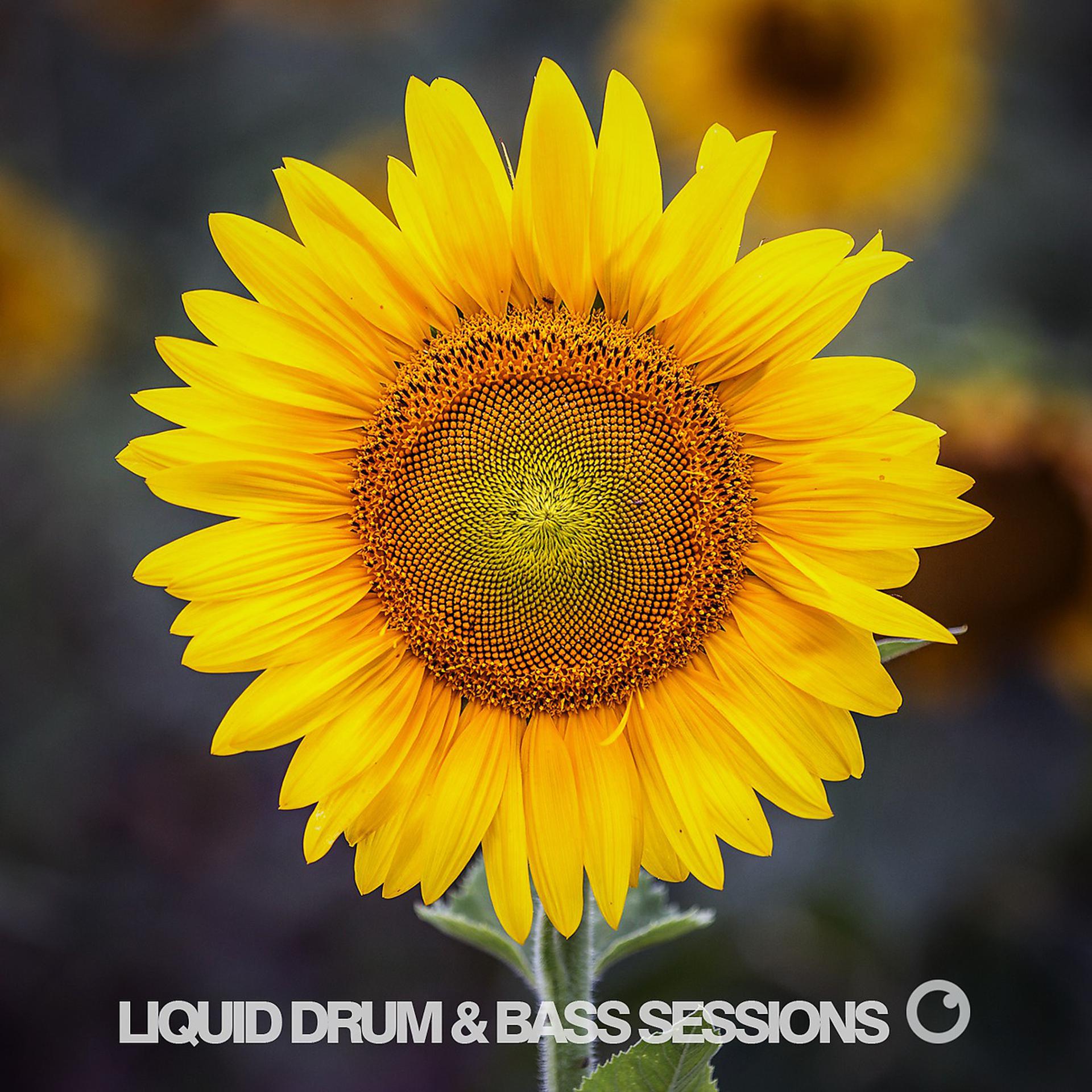 Постер альбома Liquid Drum & Bass Sessions 2020 Vol 7