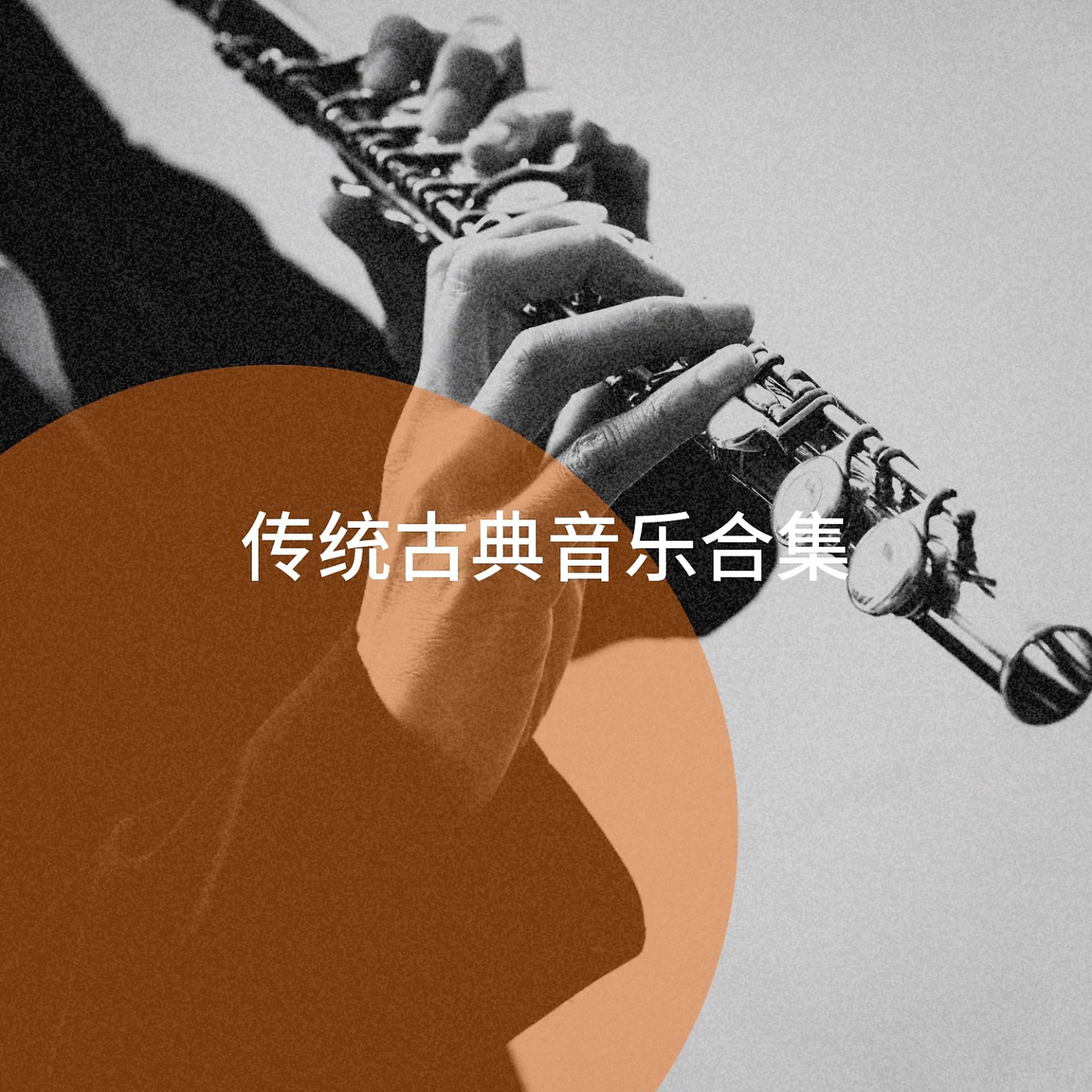 Постер альбома 传统古典音乐合集
