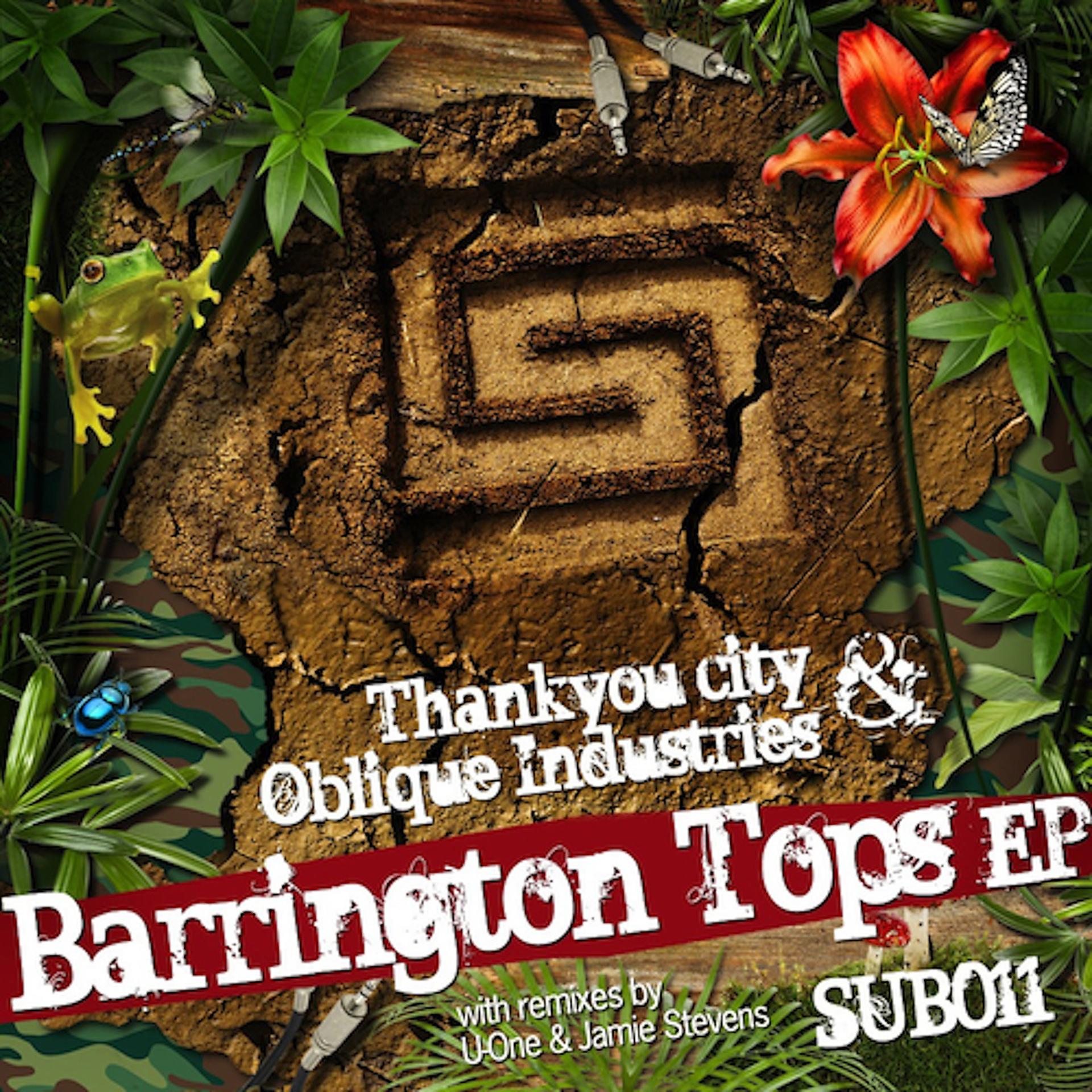 Постер альбома Barrington Tops