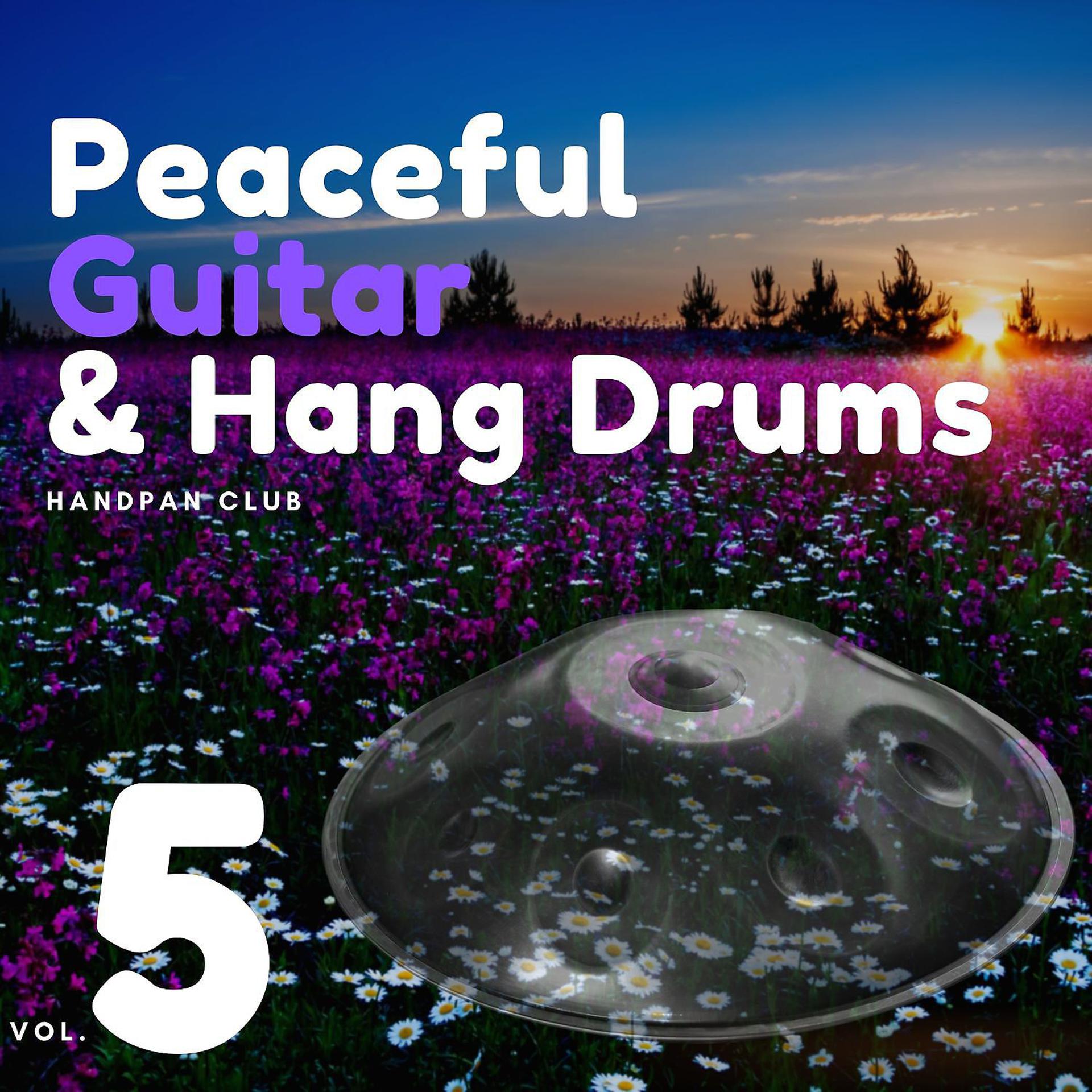 Постер альбома Peaceful Guitar & Hang Drums Vol. 5