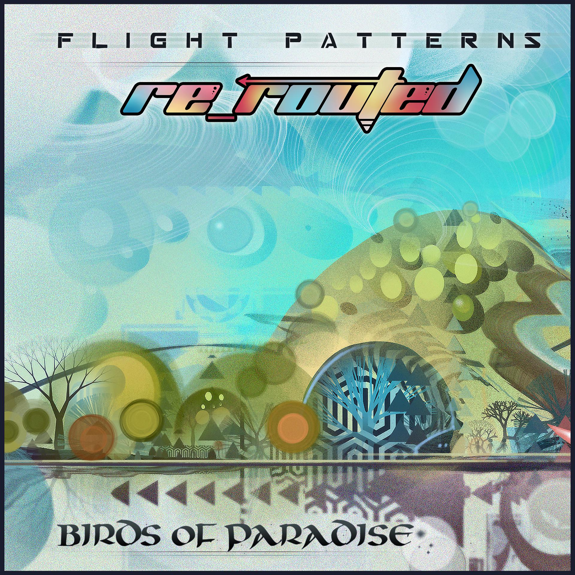 Постер альбома Flight Patterns (Re-Routed)