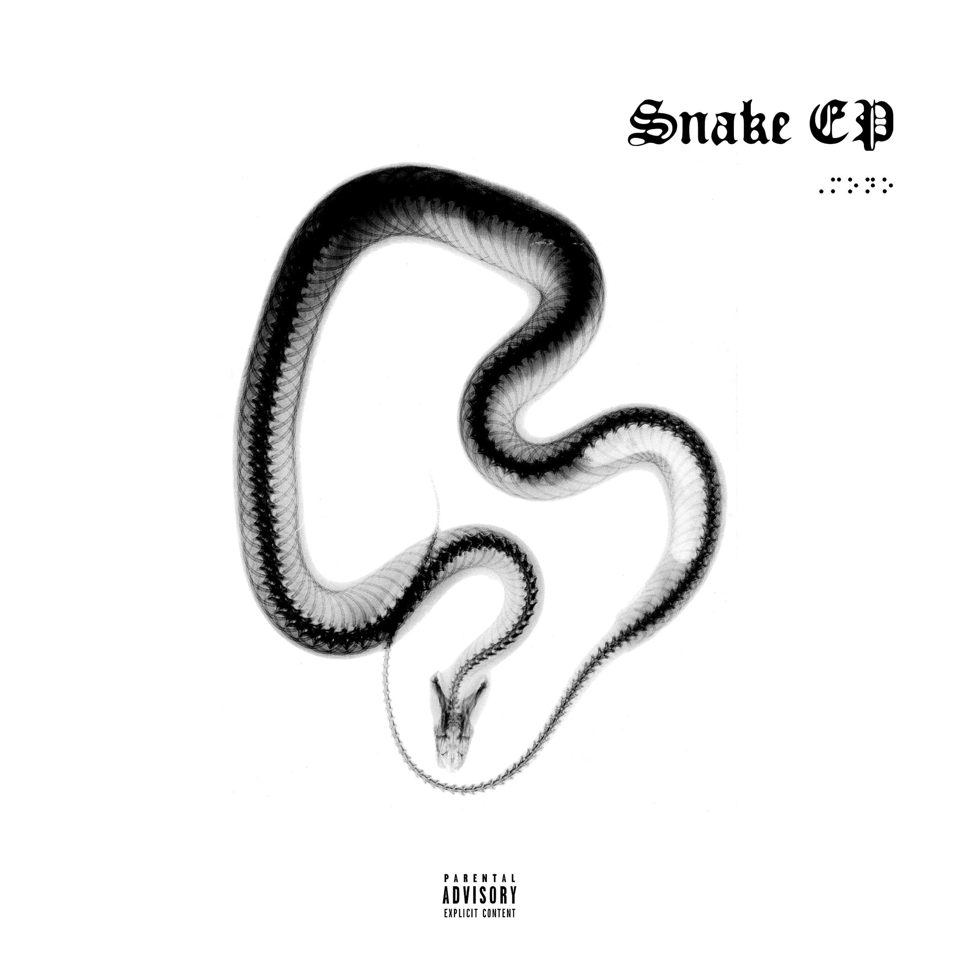 Постер альбома Snake EP