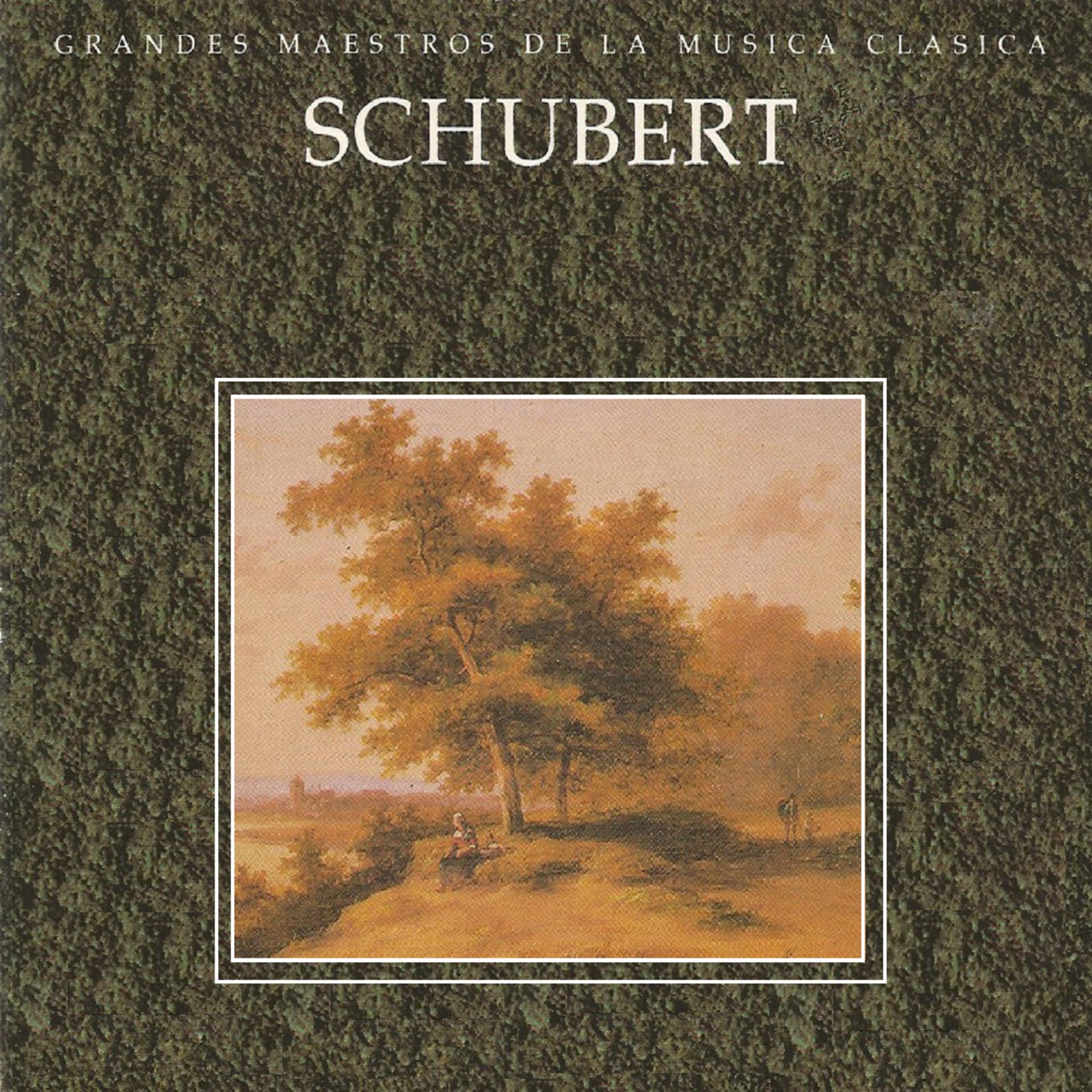 Постер альбома Grandes Maestros de la Musica Clasica - Schubert