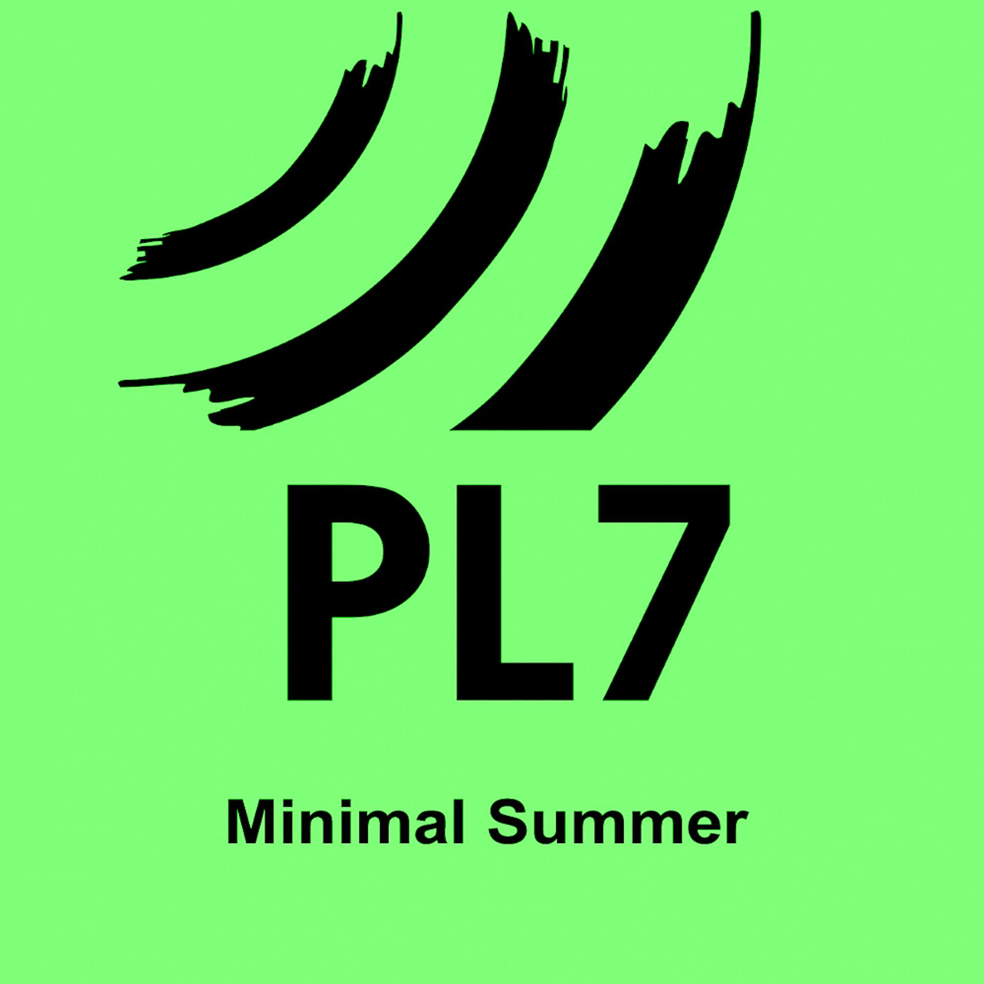 Постер альбома Minimal Summer