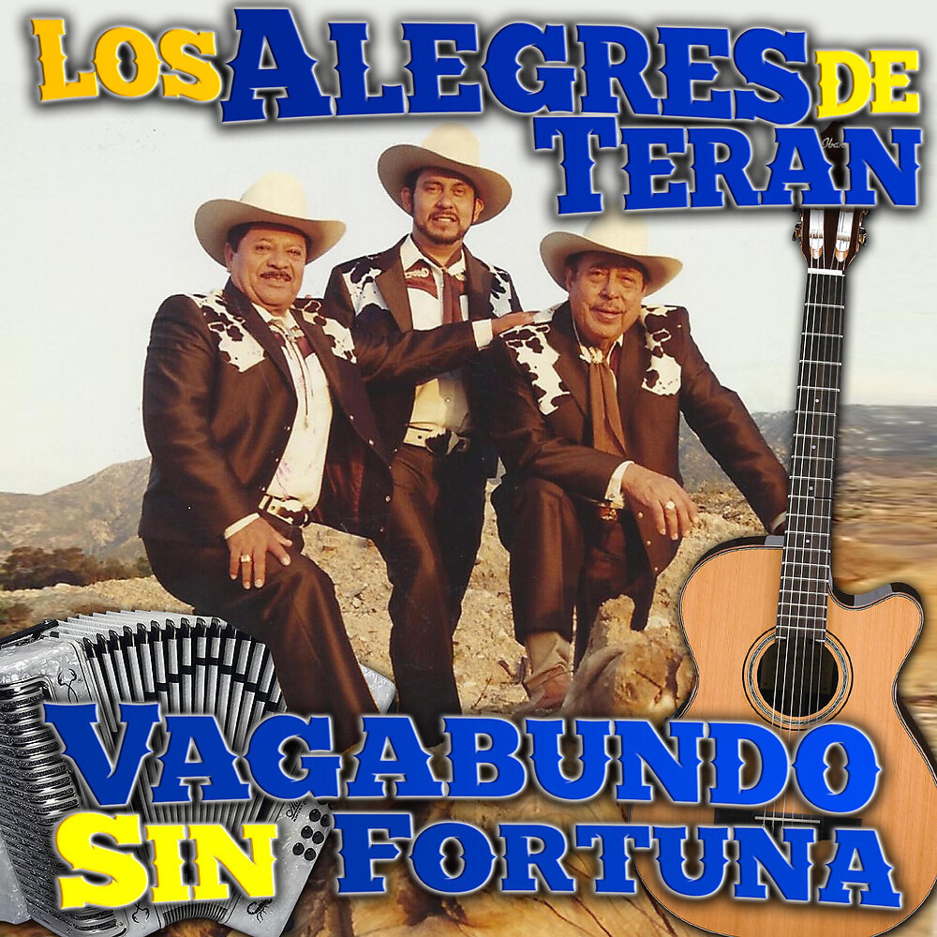 Постер альбома Vagabundo Sin Fortuna
