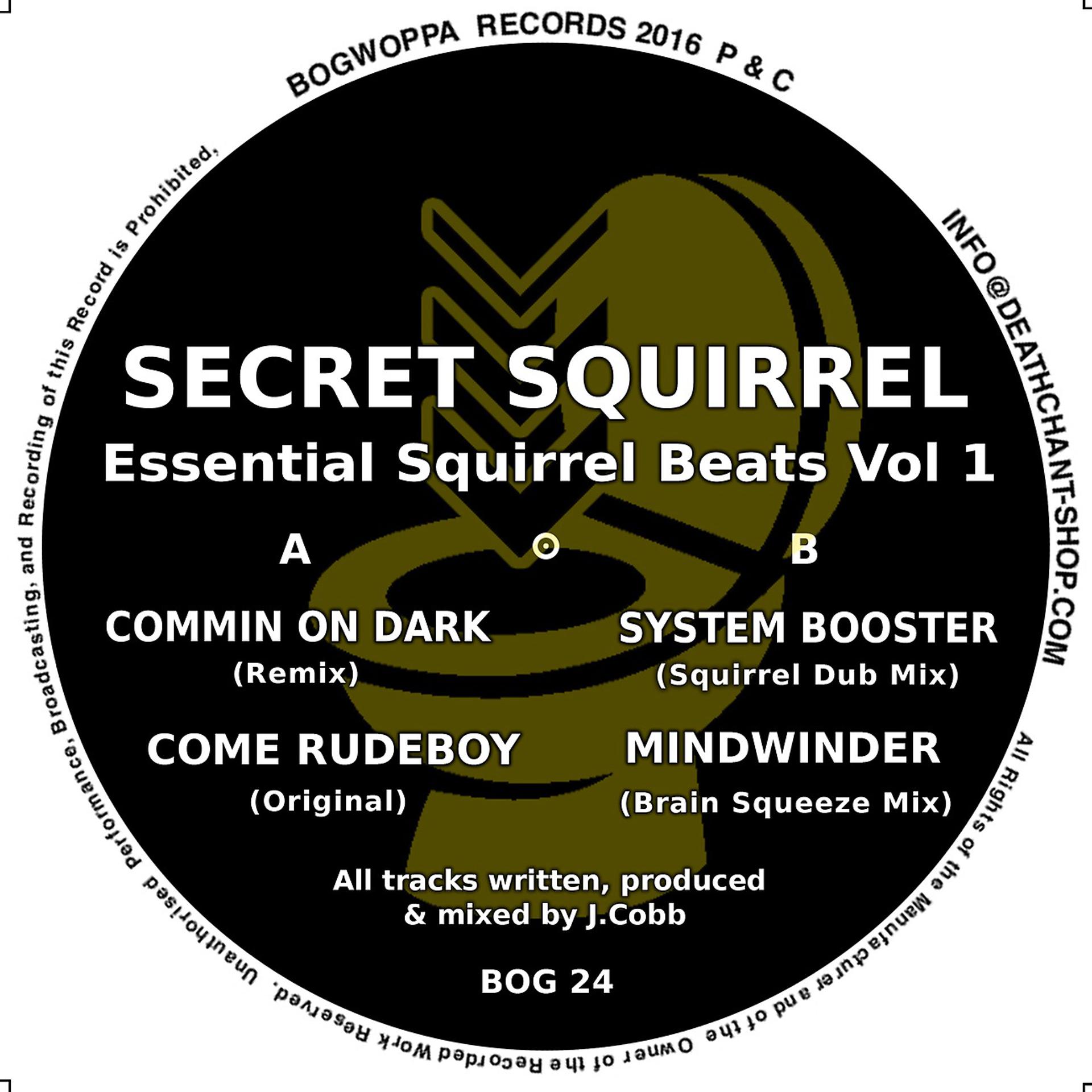Постер альбома Essential Squirrel Beats Vol​.​1