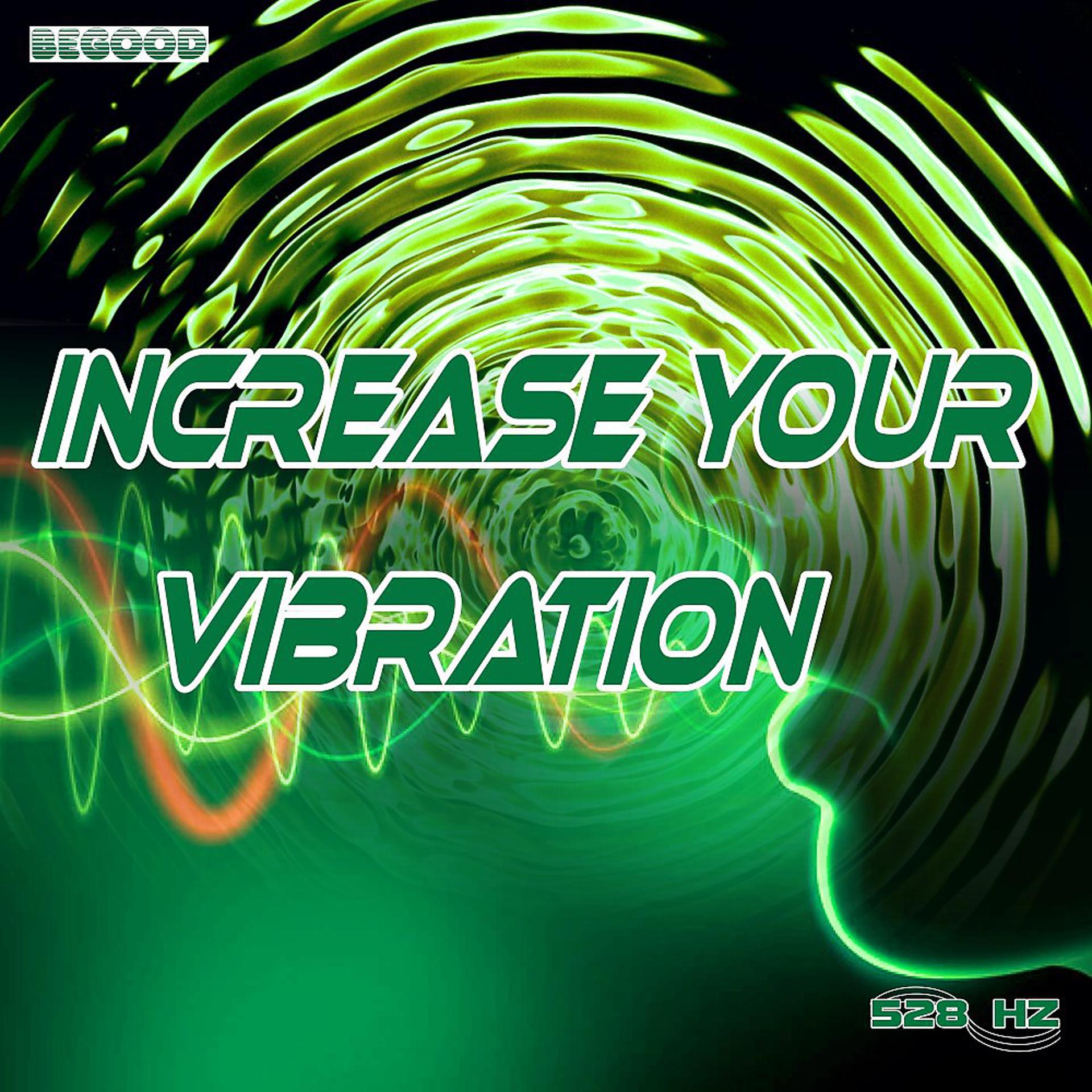 Постер альбома Increase Your Vibration