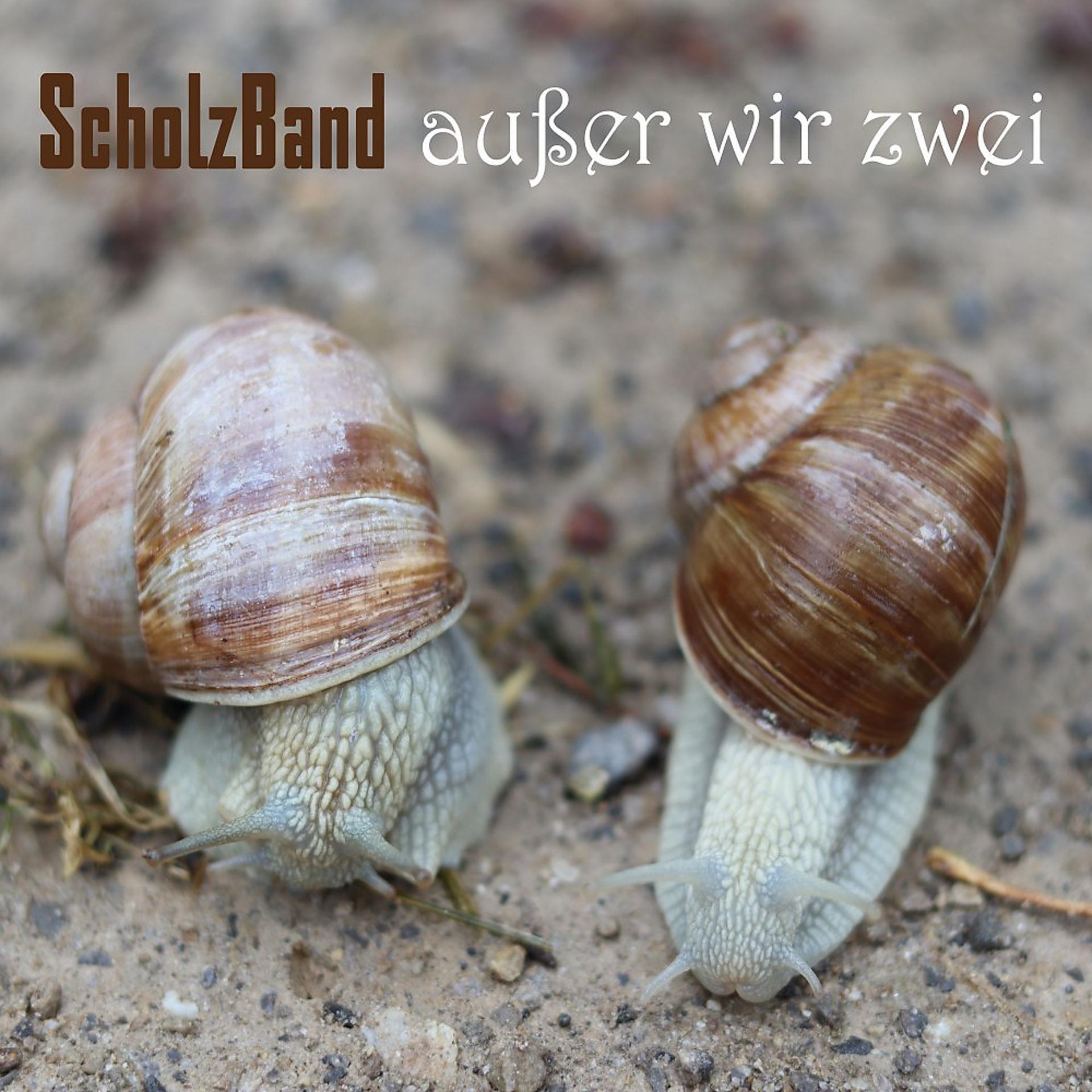 Постер альбома Außer wir zwei (Single Version)