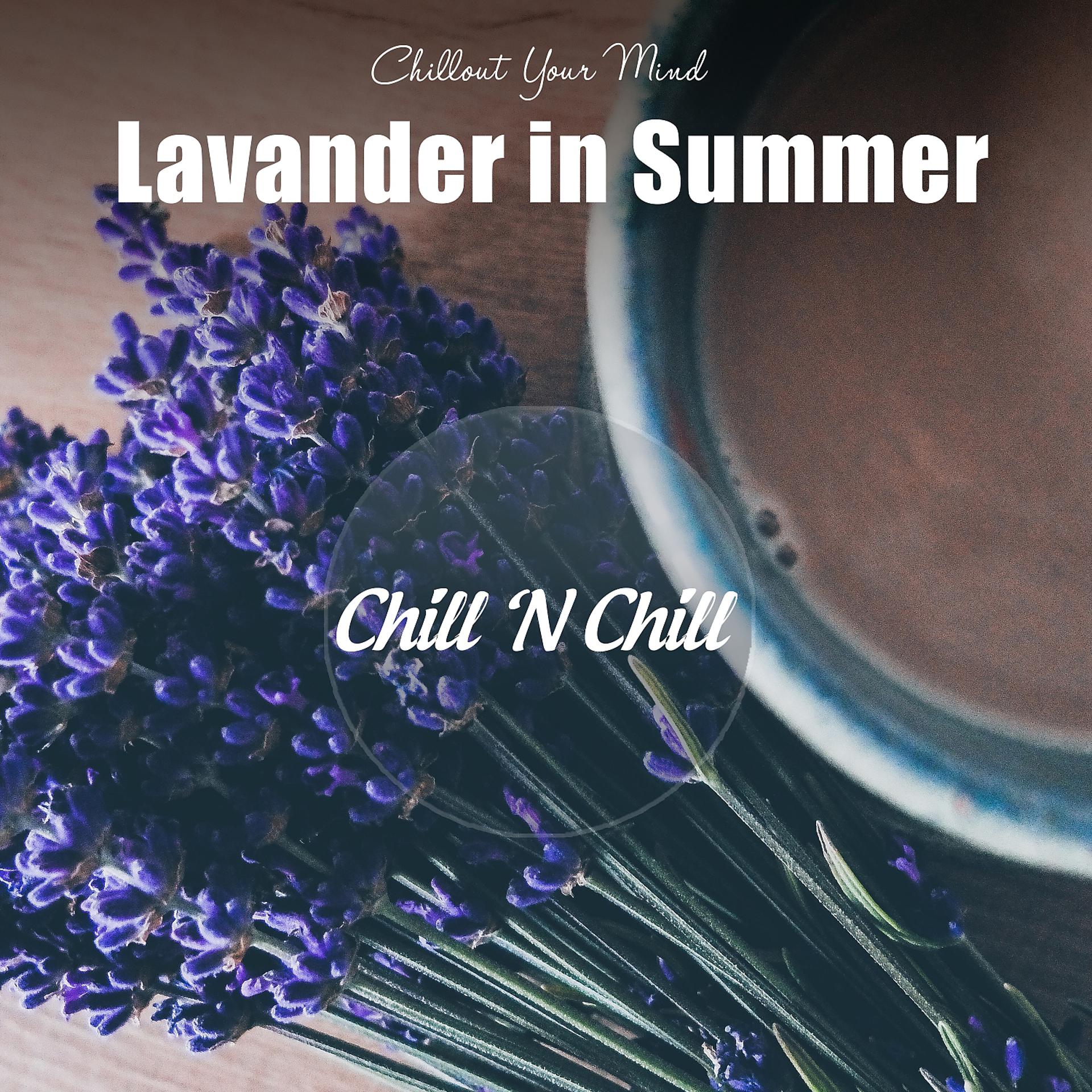 Постер альбома Lavender in Summer: Chillout Your Mind