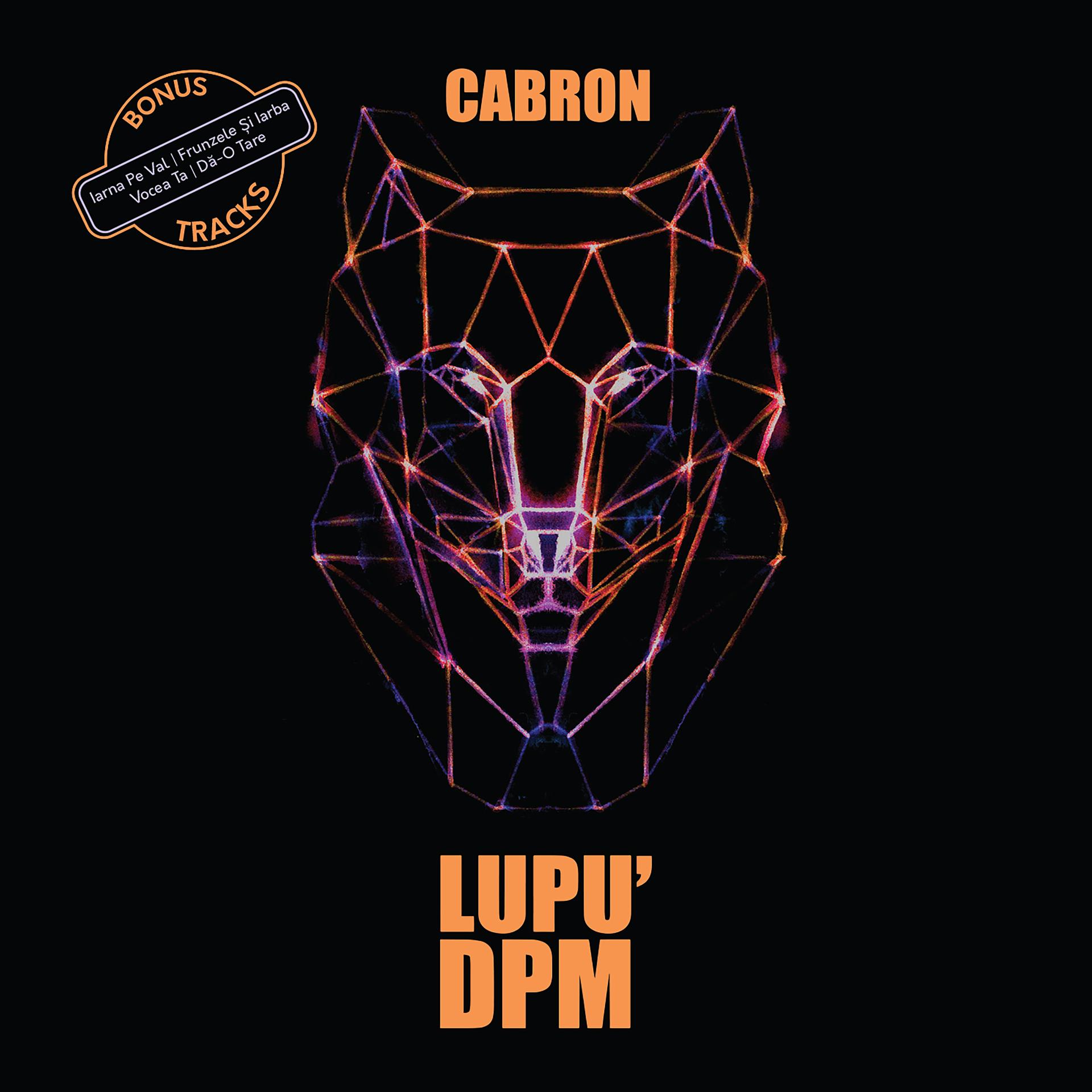 Постер альбома Lupu' DPM