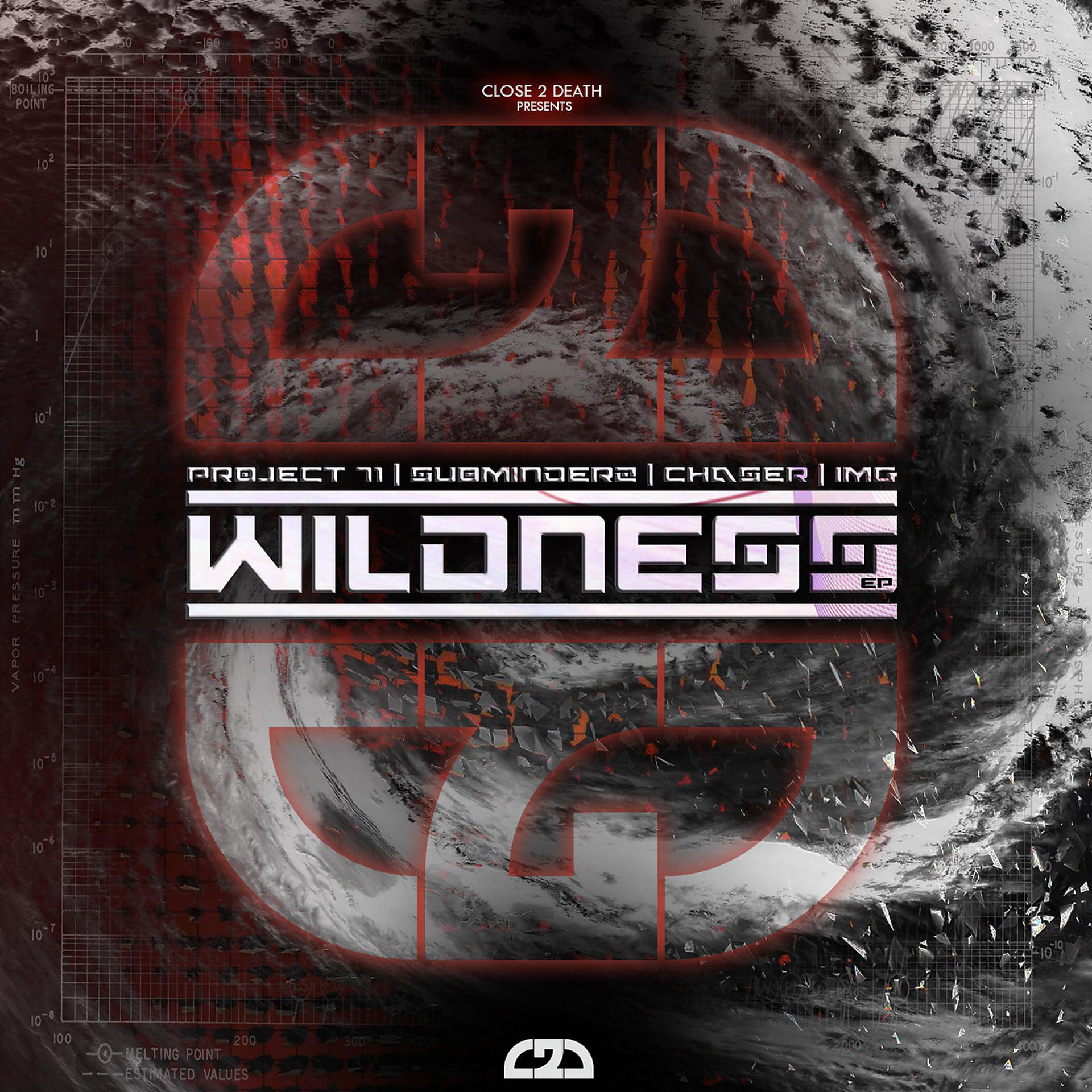 Постер альбома Wildness / Pressure