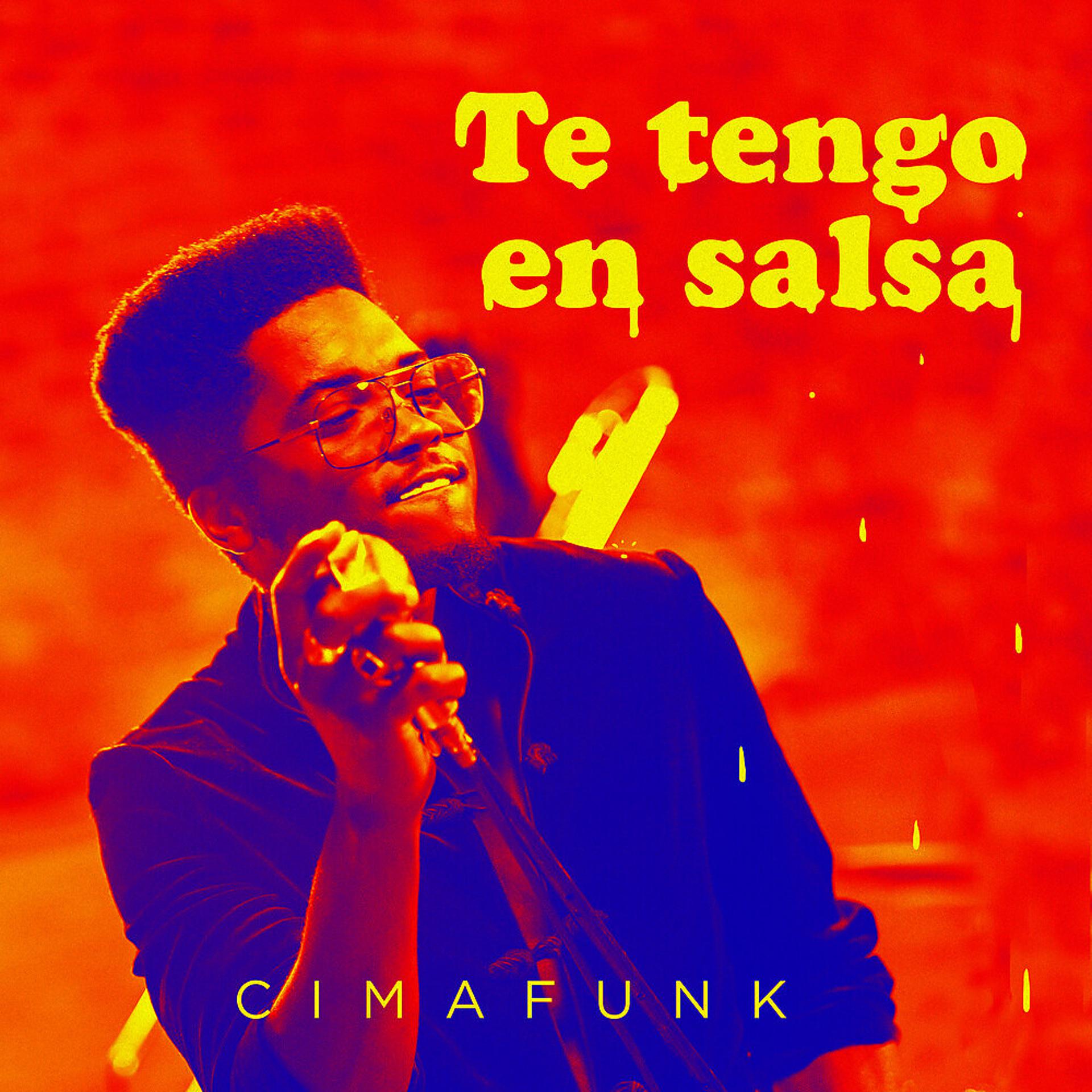 Постер альбома Te Tengo En Salsa